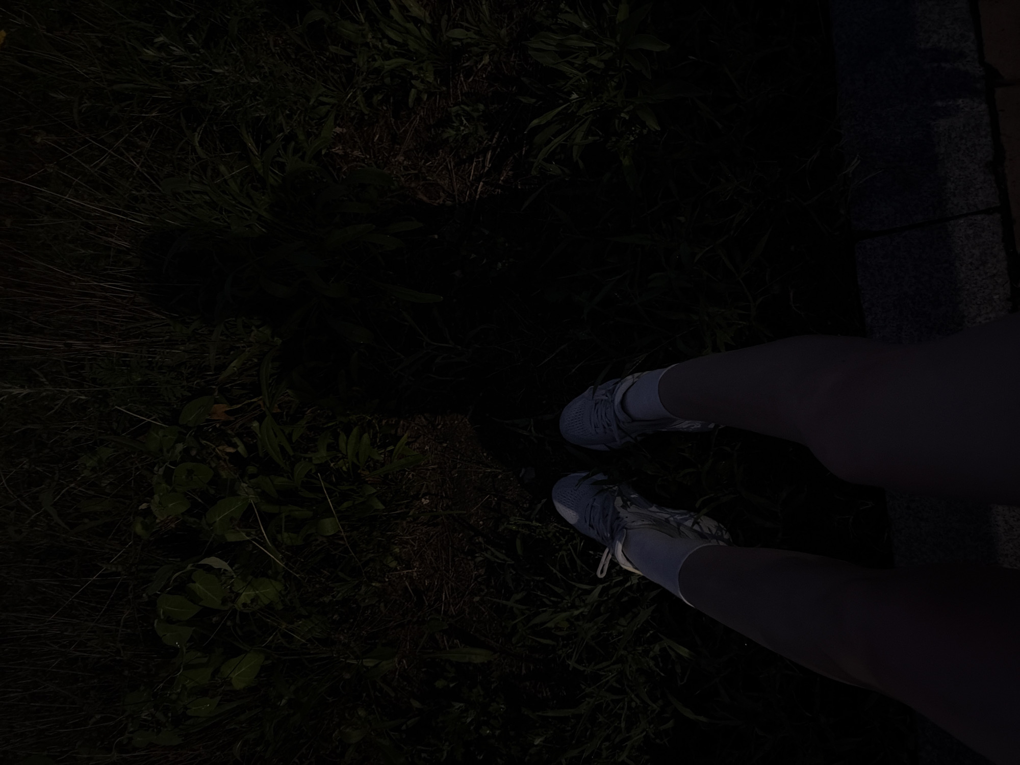 An overhead shot captures a person's legs and feet from the knees down, standing on what appears to be a paved surface. They are wearing light gray athletic shoes with white laces and white socks. The background consists of dense, dark green vegetation, possibly grass and leafy plants, with some dry straw-like material visible. A faint shadow of a person is cast on the vegetation to the right. The lighting suggests it is dusk or a dimly lit area. The scene is set outdoors, likely in a park or a natural area within the city of Dongducheon-si, South Korea.