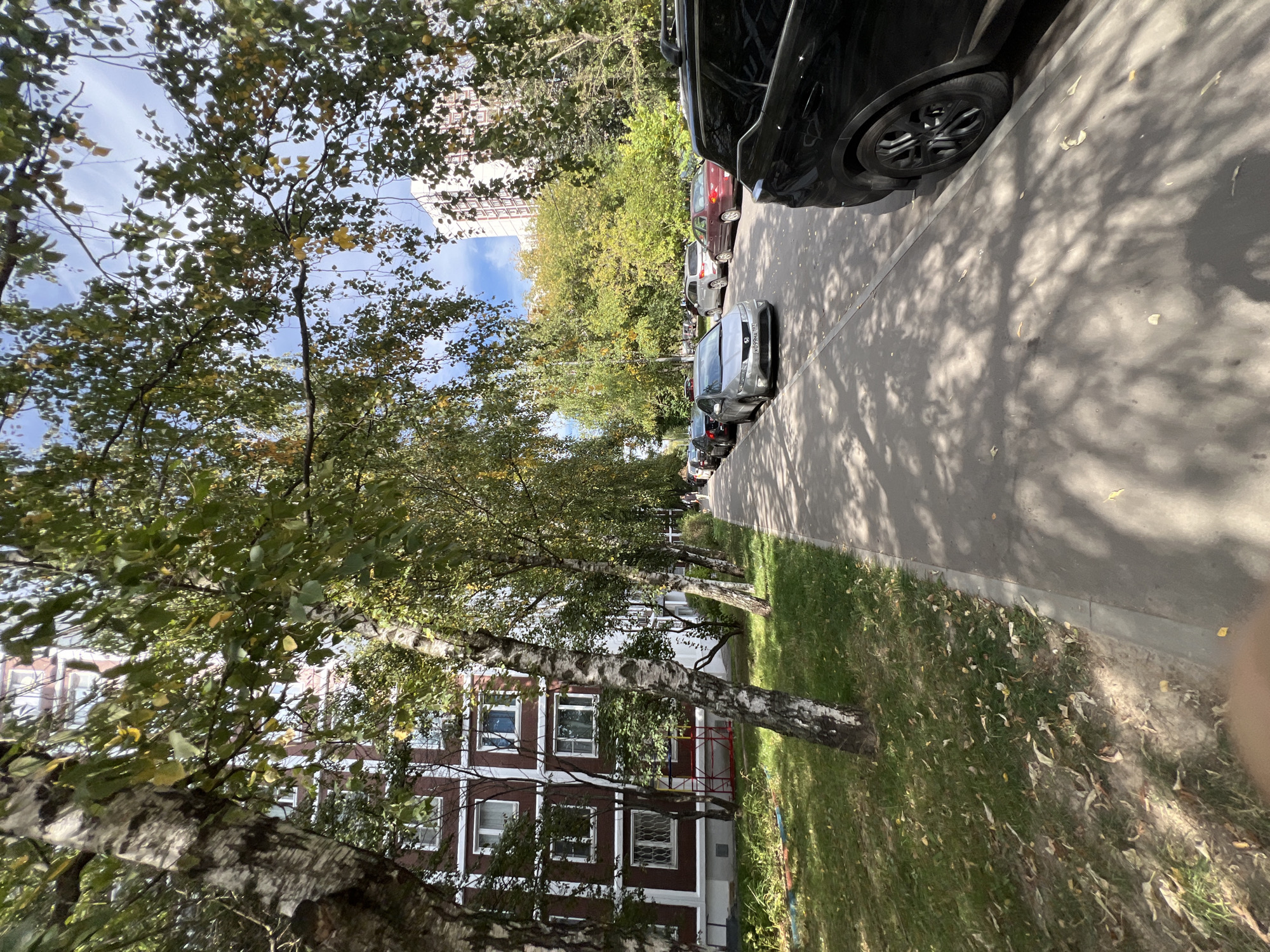 A street scene in Moscow, Russia, on a sunny day with dappled sunlight filtering through trees. The foreground features a paved sidewalk with a black SUV parked on the right side of the frame. Beyond the sidewalk, a grassy area with fallen leaves borders a row of birch trees with distinctive bark. To the left, a multi-story apartment building with red brick and white window frames is visible. The street itself is lined with parked cars, including a silver sedan in the middle ground. Further down the street, more apartment buildings and trees can be seen, indicating an urban residential area. A person can be seen walking in the distance on the sidewalk. The sky is blue with some wispy clouds.