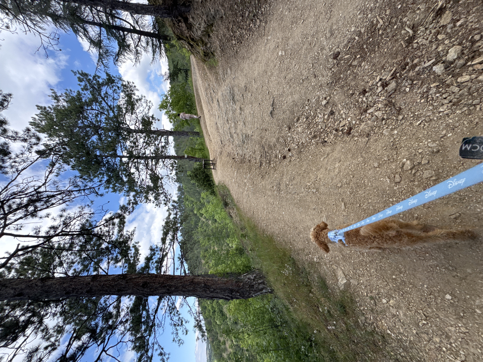A dog wearing a blue leash walks on a rocky trail. A person is standing further ahead on the trail. Trees surround the path, and a landscape of vegetation is on the left. The sky is visible through the trees. The leash has "Disney" printed on it. A sign with illegible writing stands near the person on the trail.