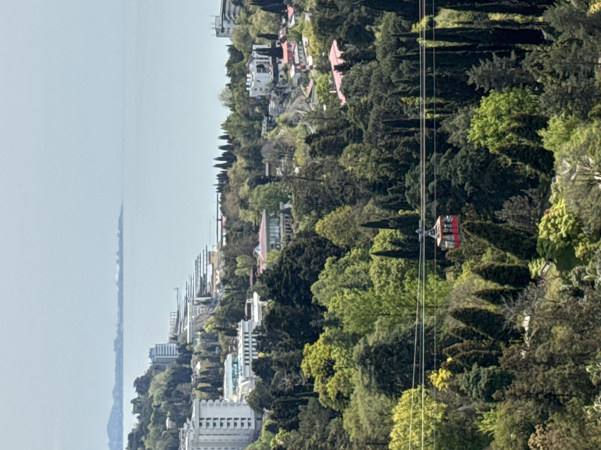 The image depicts a cityscape with a prominent red cable car ascending through a heavily wooded area. The background reveals a coastline with visible water, possibly the Black Sea, adjacent to a densely populated urban area. Buildings of various sizes and architectural styles are interspersed with lush greenery, including tall trees. The overall scene suggests a location with significant elevation change, likely a coastal mountain city. Based on the presence of the cable car and the described environment, it is likely to be located in Sochi, Russia.