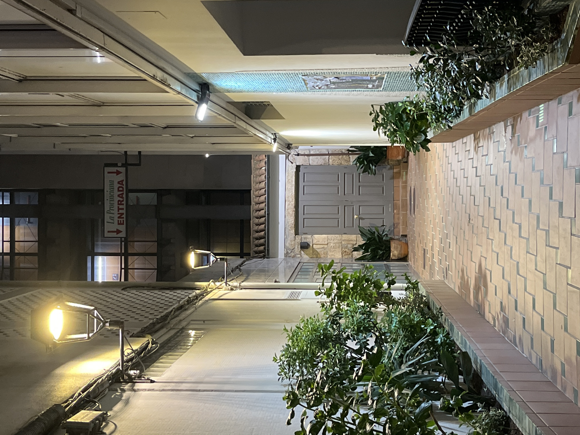 The image shows a narrow pedestrian street in A Coruña, Spain, at night. Two rows of buildings define the street. The building on the right is covered with light-colored, vertically stacked rectangular tiles. A raised planter bed runs along this wall, containing green plants. The left side of the street has a more industrial appearance, with exposed metal beams, wires, and floodlights. A sign reading "La Provinciana ENTRADA" (The Provincial Entrance) points downwards, indicating a direction. In the background, a grey door is set into a wall, flanked by more greenery in pots. Above the door, the ceiling has a patterned, potentially mosaic-like section. The scene is illuminated by the streetlights, casting shadows and highlights.