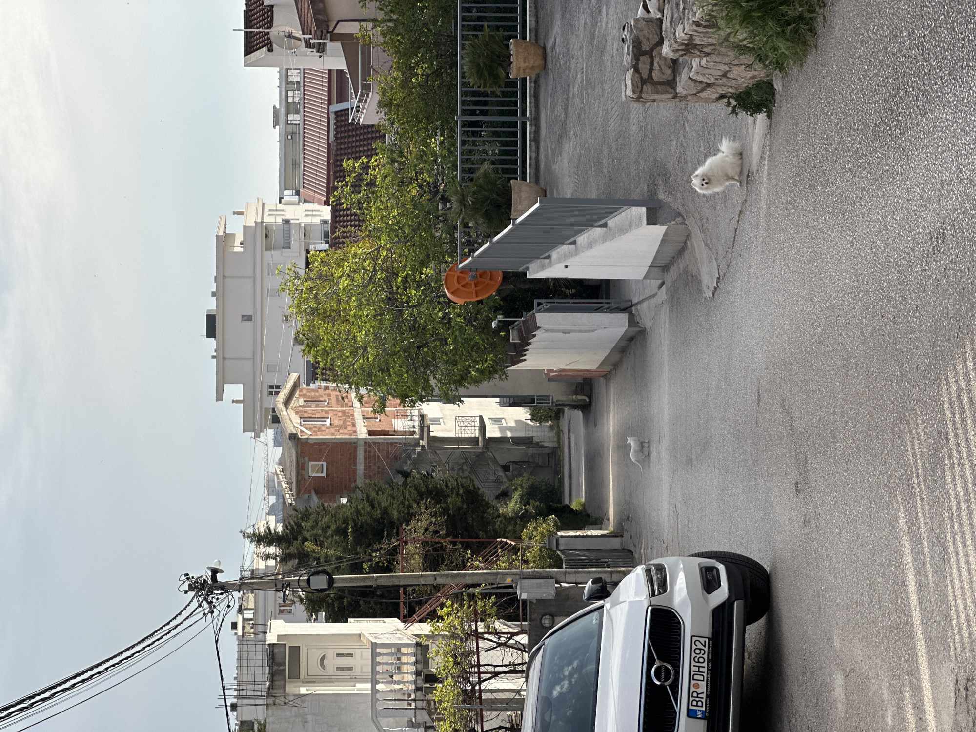The image shows a street in Šušanj, Montenegro. In the foreground, a white Volvo SUV is parked, with the license plate "BR DH692." An overhead power line runs along the left side of the frame. On the right side of the street, two small white dogs are visible. The background features residential buildings and trees along the street. The scene appears to be during the day, with natural light present.