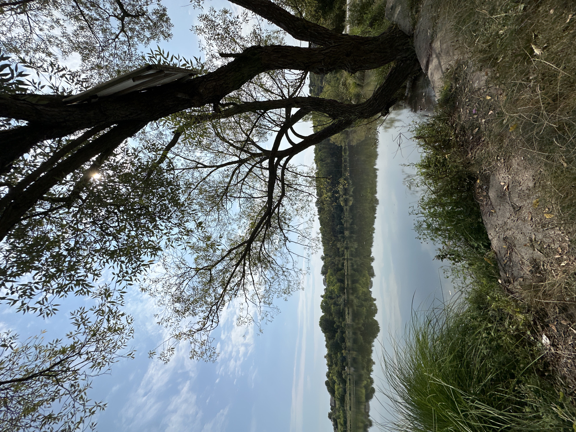 The image depicts a serene natural scene by a body of water, likely a river or lake, with lush greenery and trees framing the view. The sky is a vibrant blue with scattered white clouds, suggesting a clear day. The sun's rays are visible, peeking through the branches of a large tree in the foreground, casting a dappled light on the scene. The tree, with its gnarled trunk and sprawling branches, dominates the right side of the frame, its leaves creating a natural canopy.
Reflected in the still water is a dense line of trees and foliage that stretches across the horizon, indicating a wooded bank opposite the viewpoint. The water itself appears calm and reflective, mirroring the sky and the distant landscape. The foreground is characterized by rough terrain, with patches of grass, fallen leaves, and a concrete structure, possibly a path or a bank reinforcement, visible near the water's edge. The overall impression is one of tranquility and natural beauty.
The location is identified as Makiv, Ukraine. Based on the visual cues, it appears to be a natural area on the outskirts or within the city, likely a park or a recreational spot adjacent to the water. The presence of a sign attached to the tree suggests it might be a public area with informational or directional markers. There are no people or animals visible in the image, emphasizing the peaceful, undisturbed nature of the environment. The scene captures a moment of natural splendor, highlighting the interplay of light, water, and vegetation.