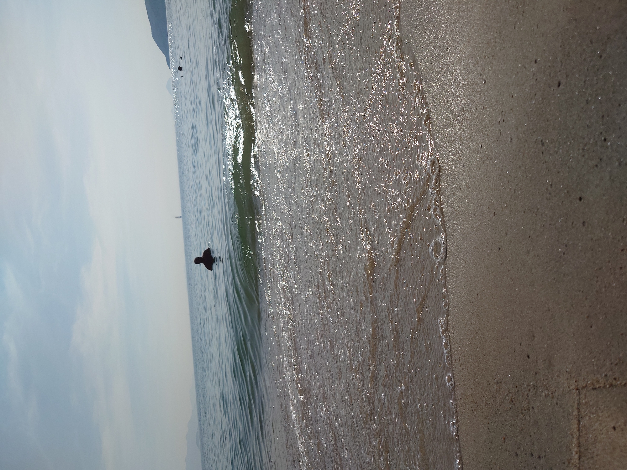 A solitary person is submerged in calm ocean water, with only their head and shoulders visible. The water is a translucent blue-green, and small waves lap gently against the sandy shore in the foreground. Sunlight glints off the water's surface, creating a shimmering effect. In the distance, landforms are faintly visible on the horizon, and the sky is a pale, hazy blue with scattered clouds.