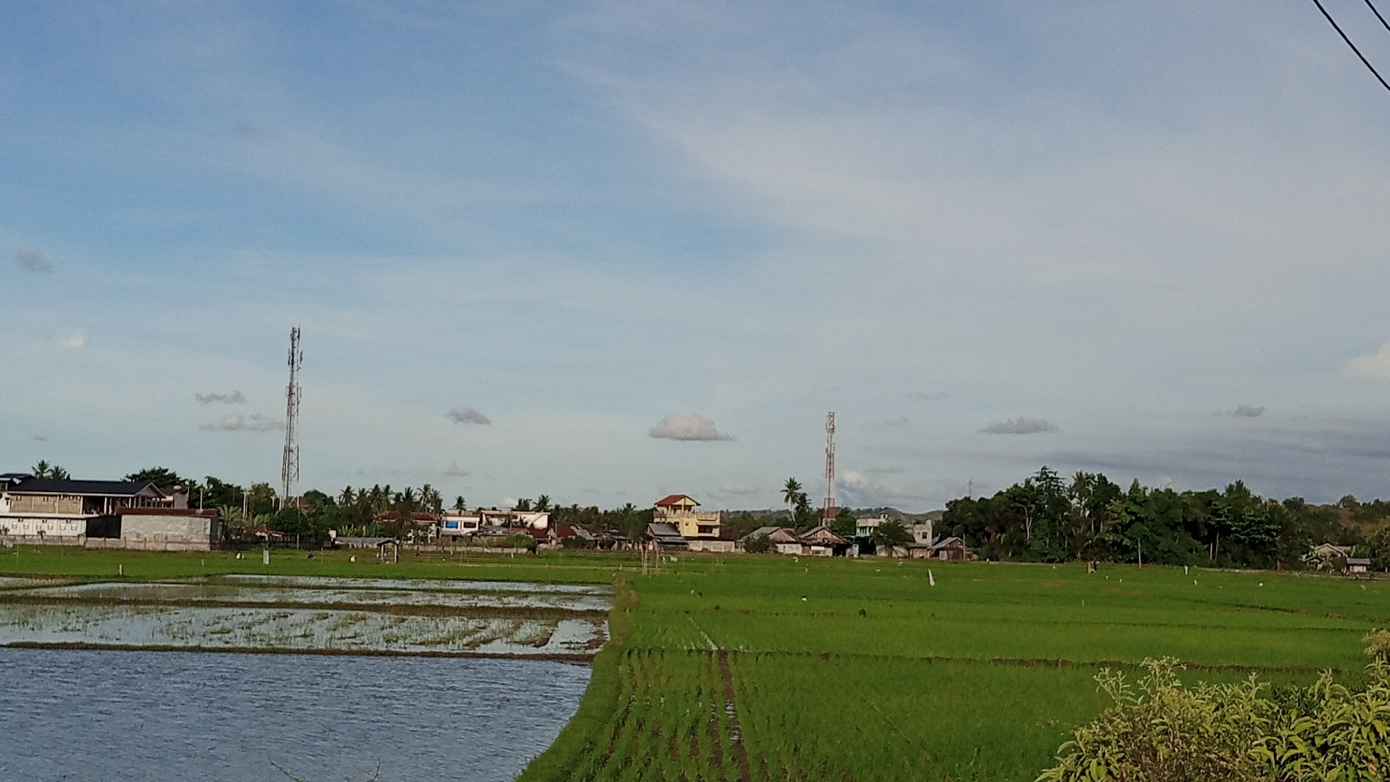 This is a landscape photograph taken in the vicinity of Meunasahtambo, Indonesia, featuring a vast expanse of agricultural land. The foreground is dominated by a flooded rice paddy on the left, reflecting the sky and surrounding elements, and a lush, green, newly planted rice field on the right, characterized by neat rows of young rice plants. In the middle ground, a scattering of buildings, including residential houses and a larger institutional-looking structure with multiple windows, are visible, interspersed with various types of trees, including palm trees. Two prominent cellular towers stand tall against the sky, one on the left and another slightly to the right of center, indicating the presence of telecommunications infrastructure. The background consists of more foliage and a distant, hazy hillside or mountain range under a partly cloudy sky. The overall impression is of a rural or semi-rural setting in Indonesia.
