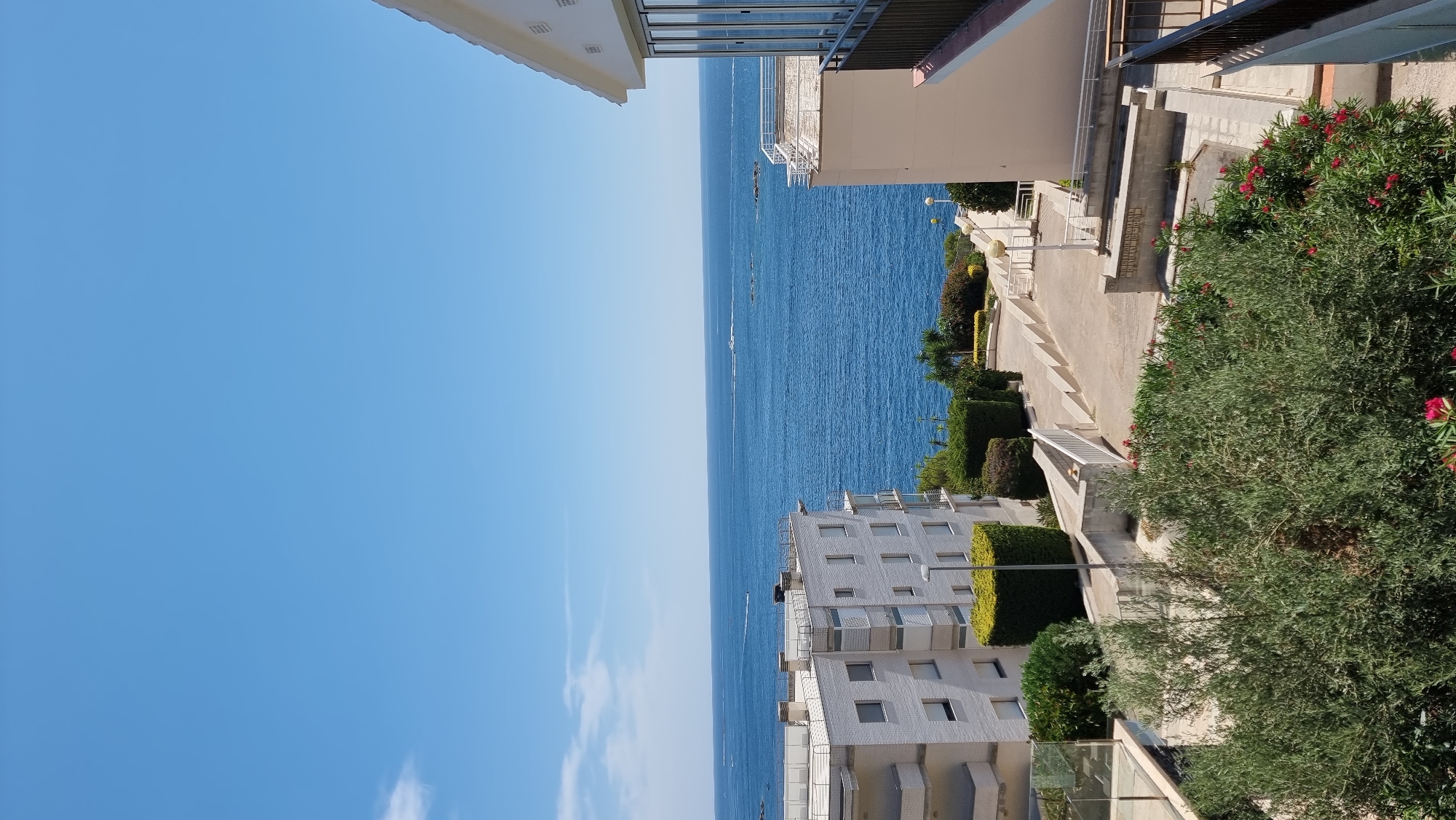 A high-angle medium shot captures a sun-drenched view of the Mediterranean Sea from a residential area in Roses, Spain. The foreground is dominated by lush green foliage and flowering bushes, with some of the flowers appearing as vibrant red. Behind the greenery, a paved pathway and a set of white concrete stairs lead towards the sea. Two modern white apartment buildings are visible. The building on the left is a multi-story structure with balconies, while the building on the right is partially visible and has large glass windows. The sea itself is a deep blue, with several small boats dotted across its surface and a distant shoreline. The sky is a clear, bright blue with a few wispy white clouds. The overall impression is one of a tranquil, coastal vacation setting.