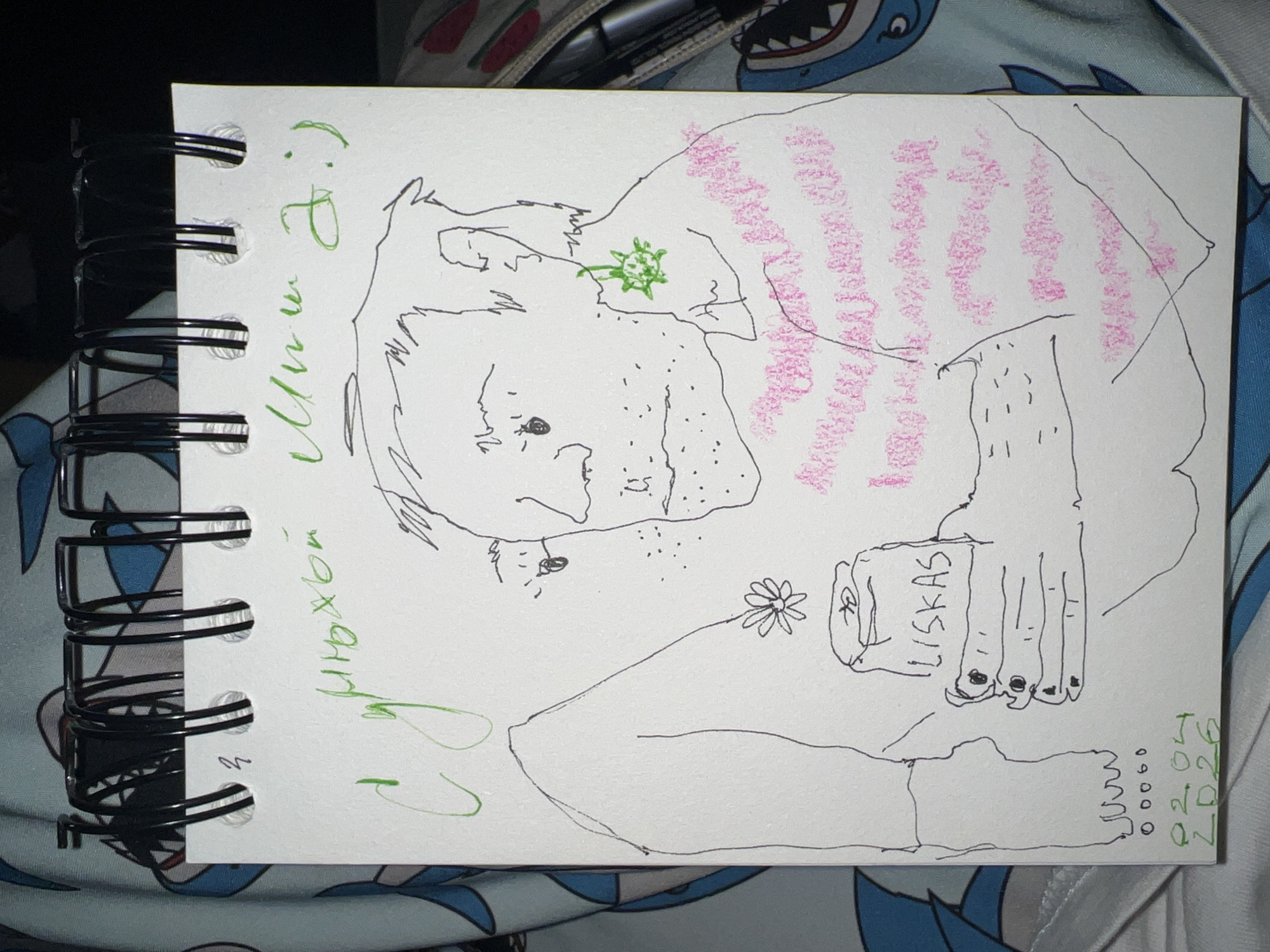 The image is a drawing on a notepad, featuring a stylized sketch of a person, along with some handwriting in green and pink. The notepad has a black spiral binding on the left side.
The person depicted in the drawing appears to be holding a flower. There are pink scribbles covering the upper portion of the person in the drawing and a green spikey object next to their neck.
Handwritten words, including the name "Liskas" and a date "22.04.2026," are present. Other text in green seems to be illegible.
There is no information in the image that can identify the location of the drawing within the city of Belgrade, Serbia. The image simply depicts a drawing on a notepad.