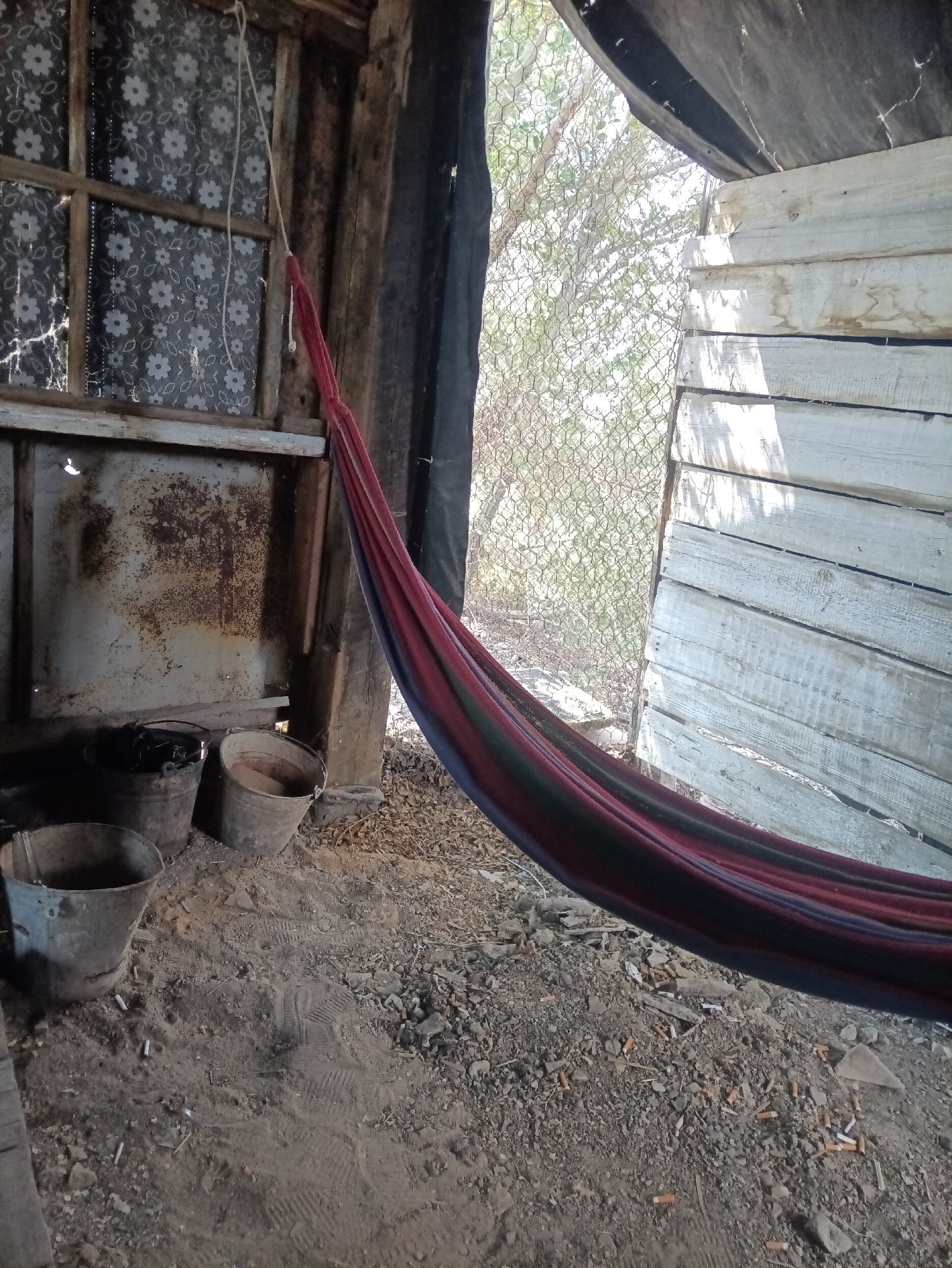 The image depicts a rustic, possibly abandoned, structure in Balqaş, Kazakhstan. A multi-colored hammock, with red, blue, and dark green stripes, is strung diagonally across the frame, suspended from the left side. To the left of the hammock, a window is covered with a floral patterned curtain and some cobwebs are visible. Below the window, there are several metal buckets on the dirt floor, one containing a black object. The floor is uneven and strewn with debris, including cigarette butts. The background reveals a fence and trees, suggesting an outdoor environment. The walls of the structure appear to be constructed from weathered wood and metal. The overall impression is one of a simple, utilitarian space, likely in a rural or semi-rural setting.