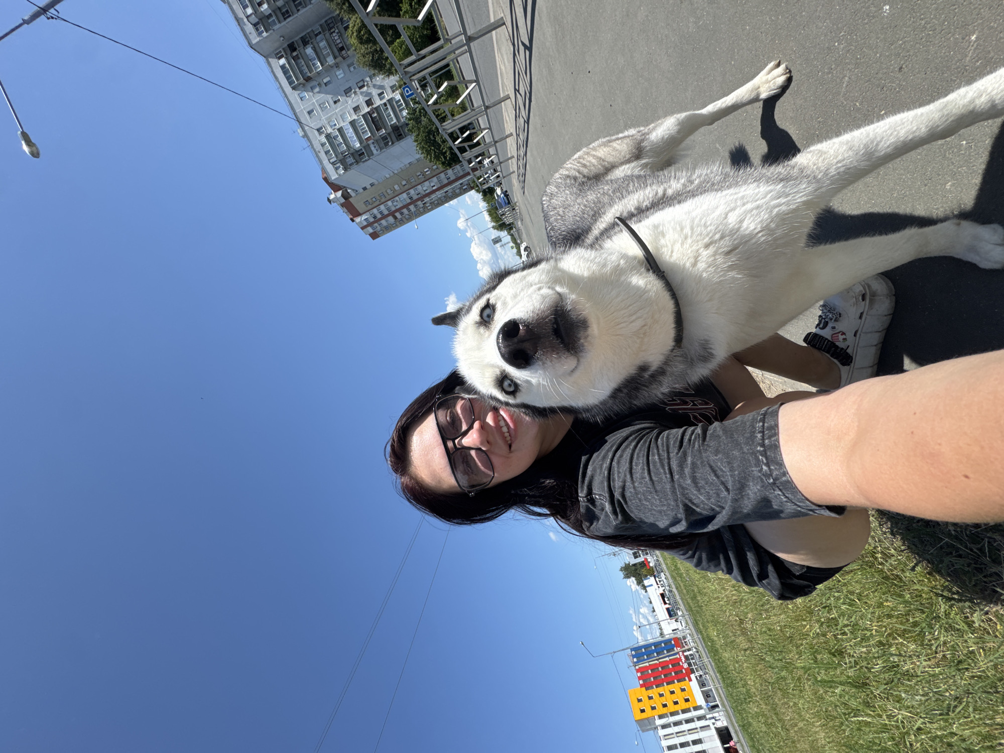 In Tolyatti, Russia, a young woman with dark hair and sunglasses crouches on a grassy area next to a paved walkway. She is holding a husky dog with striking blue eyes. The woman is wearing a dark gray t-shirt and black shorts. The husky is looking directly at the camera with its mouth slightly open. Behind them, a street with a pedestrian railing runs alongside apartment buildings, some of which have brightly colored facades. The sky is clear and blue.