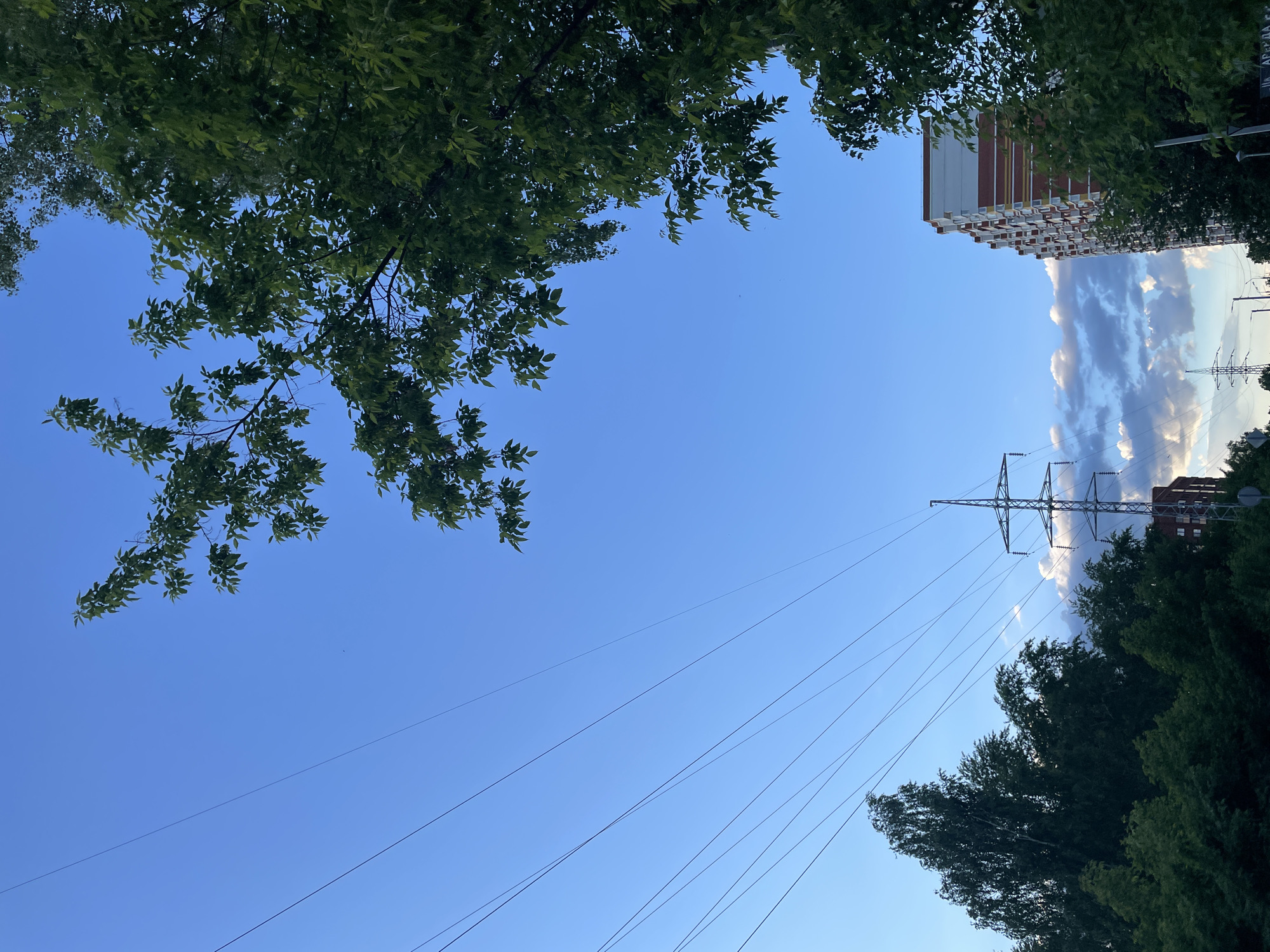 The image shows a view upwards, framed by trees in the top left and bottom right corners, towards a clear blue sky in Izhevsk, Russia. An electrical transmission tower is visible in the center of the frame, with power lines stretching across the sky. Behind the tower, a building with multiple stories is partially obscured by clouds. The image seems to be taken from a low angle.