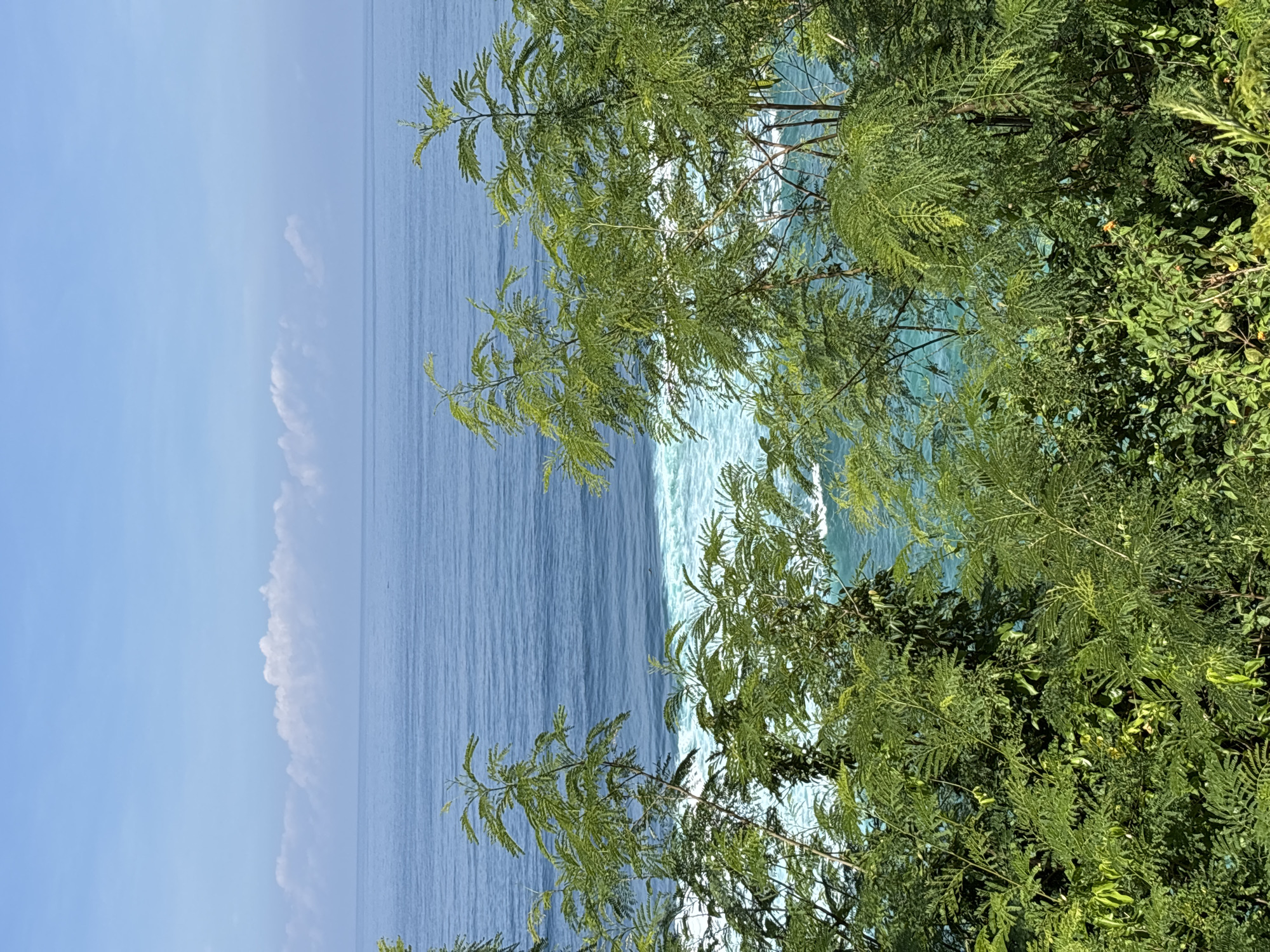 The image depicts an ocean view framed by lush green foliage, likely taken in Kuta Selatan, Indonesia. The ocean, colored in varying shades of blue, stretches towards the horizon where it meets a clear, blue sky with a few wispy clouds. The vegetation in the foreground consists of trees and shrubs, with their branches and leaves partially obscuring the view of the ocean. The photo is taken from a high vantage point, possibly a cliff or elevated area overlooking the sea. There are no people visible in the scene.