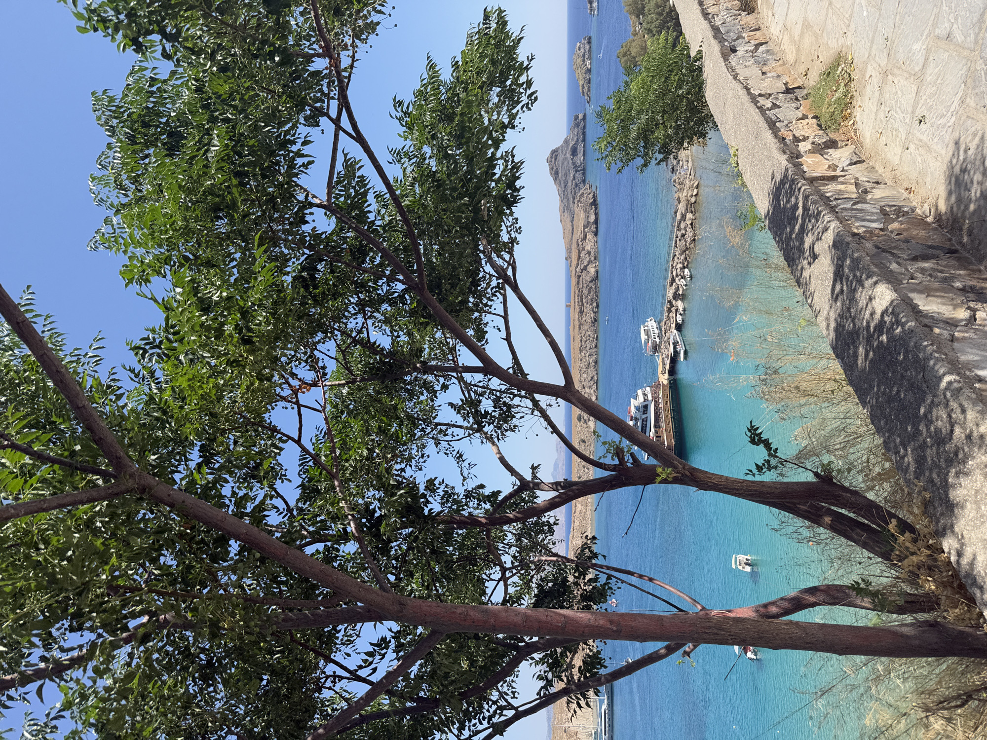 The image depicts a serene coastal view in Lindos, Greece. In the foreground, two trees with reddish-brown bark and green foliage frame the scene. Beyond the trees, a stone wall runs diagonally across the lower right portion of the image, with a paved walkway next to it. The turquoise waters of the Aegean Sea stretch out to the horizon, dotted with several boats. One larger boat with a white upper deck is moored at a jetty. Further out, rocky islands rise from the sea, one with a prominent rocky outcrop. The sky is a clear, bright blue. The overall impression is one of a sunny, tranquil Mediterranean day.
