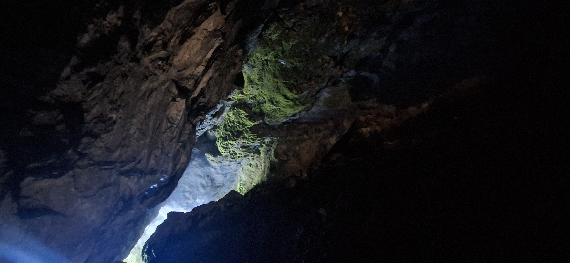 The image depicts the interior of a cave, likely located in the Trigrad Gorge, Trigrad, Bulgaria. The perspective is looking upwards towards an opening in the cave ceiling. The cave walls are rough and rocky, with patches of vibrant green moss growing on them. Light streams in from the opening, illuminating the moss and creating a contrast with the dark, shadowy interior of the cave. The overall impression is one of natural beauty and mystery.