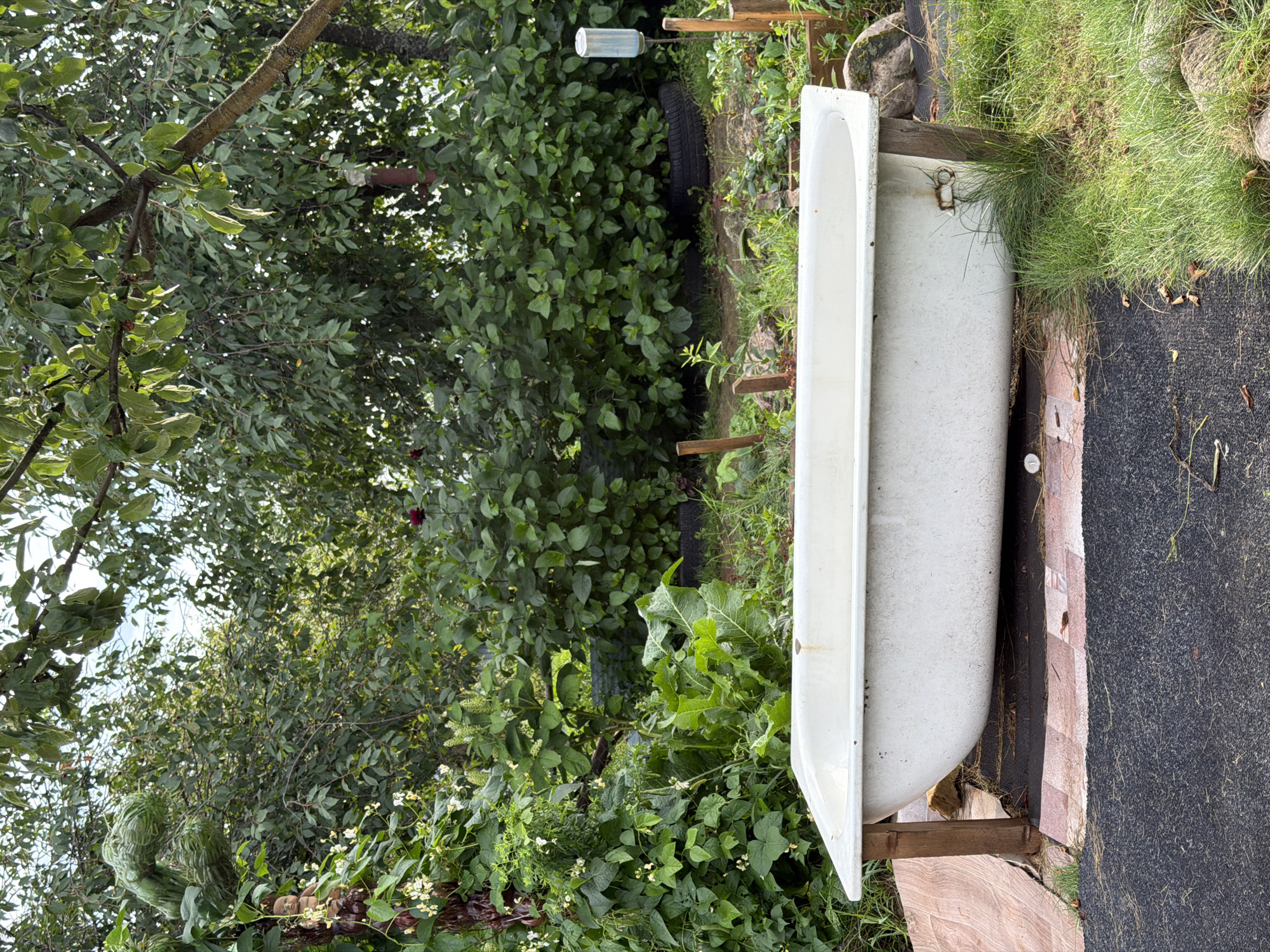 The image depicts an outdoor scene in a garden setting, likely in a rural area or on the outskirts of a settlement like Валевачскі сельскі Савет, Belarus. The focal point of the image is a white, vintage-style bathtub placed on wooden supports. The bathtub appears to be made of enamel and shows signs of age, with some wear and tear visible on its surface. It is situated on a surface that transitions from a dark, textured mat to a patterned tiled area and then to grass.
The surrounding environment is lush and overgrown with vegetation. Various green plants, including leafy bushes and climbing vines, dominate the background. Trees with dense foliage are also present, casting shadows and creating a dappled light effect. In the upper left portion of the image, a peculiar, organic-looking green structure resembling a twisted plant or sculpture is visible, entwined with a wooden post and a small doll.
In the mid-ground and background, wooden stakes are sparsely placed, some appearing to support the plants or the bathtub. A plastic bottle with a metallic cap, possibly containing water or a liquid, is mounted on a thin metal pole on the right side of the frame. The overall impression is one of a slightly wild, uncultivated garden space, where repurposed objects, like the bathtub, are integrated into the natural surroundings. The scene suggests a relaxed, informal outdoor area, potentially used for gardening, relaxation, or as an unconventional decorative element.