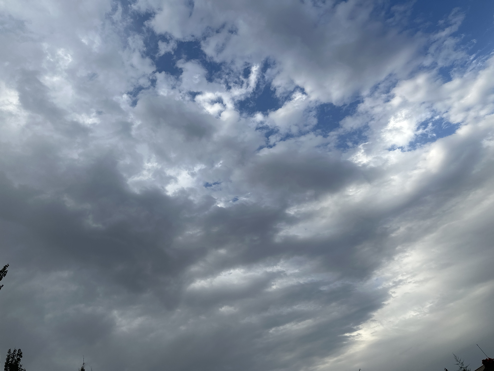The image shows a sky filled with a mix of dark and light gray clouds, with patches of blue sky visible. The clouds are varied in texture and density, suggesting a dynamic weather system. The lower edge of the image shows the dark silhouettes of trees and possibly rooftops, indicating an outdoor setting in a semi-urban or rural area. The overall impression is of a cloudy day. The specific location of Алмалуу, Kyrgyzstan is not discernible from the visual information provided.