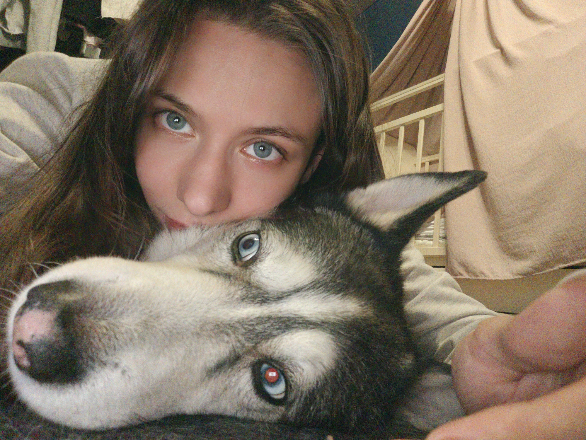 The image is a close-up selfie of a young person with long, dark hair and striking blue eyes. They are resting their head on what appears to be a dog, likely a Husky, given its grey and white fur and blue-eyed features. The dog's face is prominent in the foreground, with its eyes also visible. The person is wearing a light-colored sweatshirt. In the background, a beige-colored draped fabric and a white structure with vertical bars, possibly part of a crib or bed frame, are visible. The lighting suggests an indoor setting, likely in a residential area. The image was taken in the city of Voronezh, Russia.
