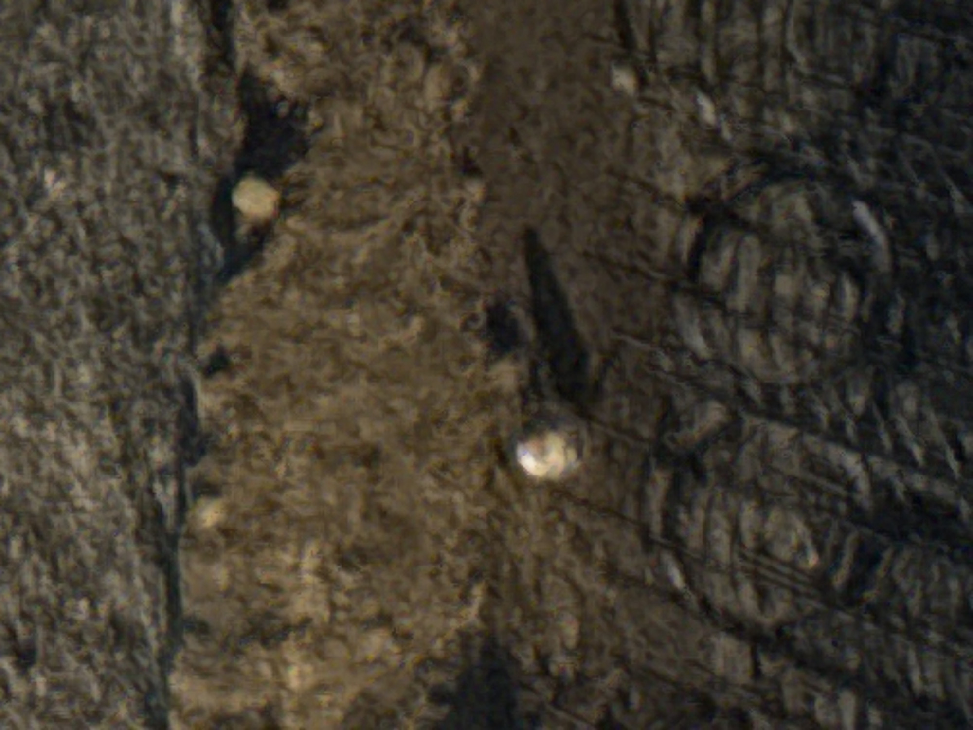 The image displays a close-up, out-of-focus view of a rough, textured surface, likely stone or concrete, with a distinct horizontal line dividing two areas. The upper area is darker and more granular, while the lower area is lighter and appears to have some debris or smaller stones. In the lower section, there are faint circular patterns that could indicate a manhole cover or a similar man-made structure beneath the surface. A small, round, light-colored object is visible in the middle of the lower section. Due to the lack of context, identifiable landmarks, and clear details, the location in Tbilisi, Georgia, cannot be determined.