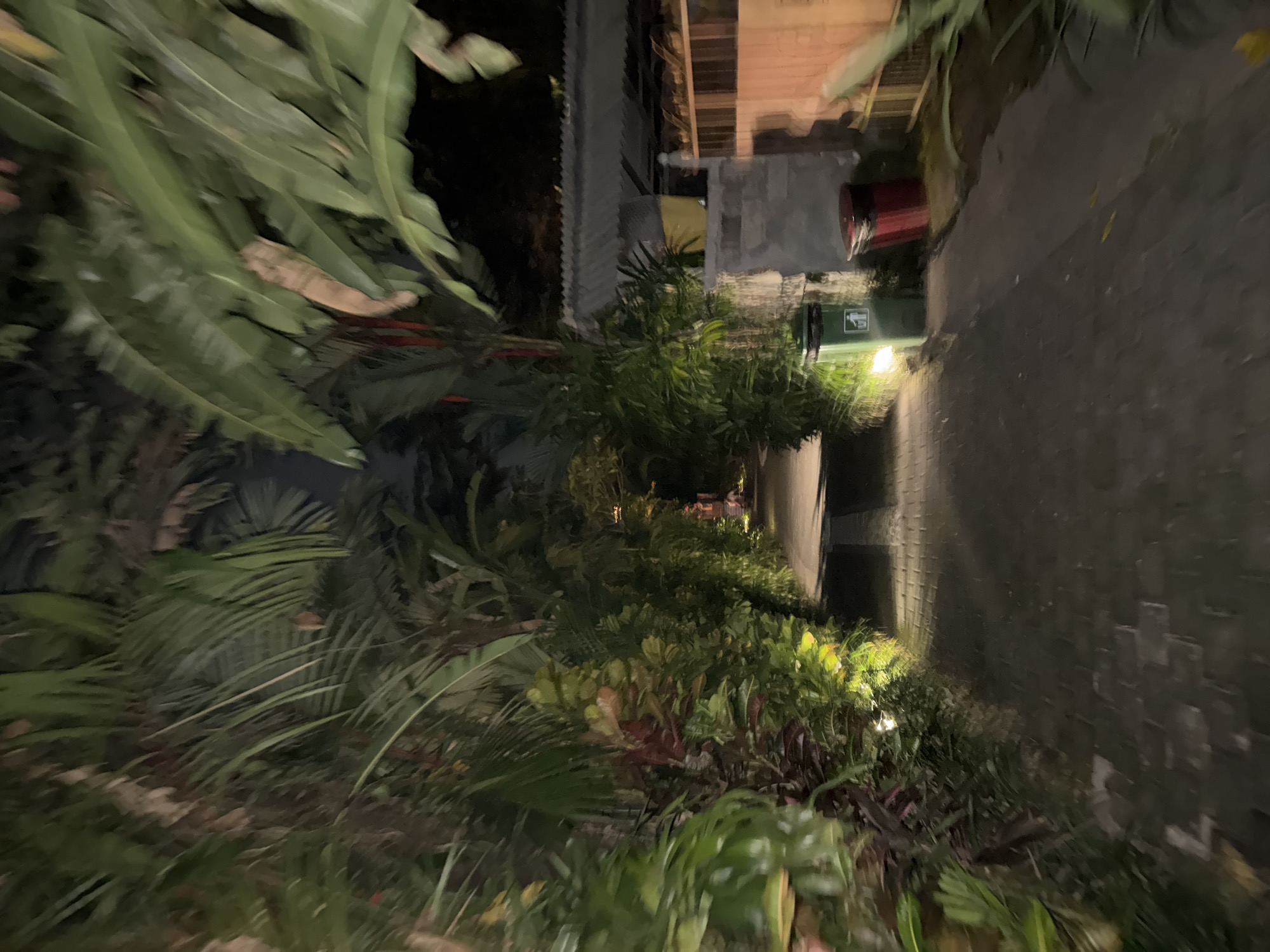 The image depicts a night scene in Ubud District, Indonesia, showing a narrow alleyway lined with lush tropical vegetation. On the right side of the alley is a dark, textured wall. A brick paved pathway stretches between the vegetation and the wall. The alleyway appears to lead towards buildings and structures illuminated by dim lighting. The vegetation is dense and varied, including banana leaves and palm-like plants. Towards the back of the alley, near the buildings, there are two trash receptacles visible, one red and one green. The angle and blur suggest the photo was taken while moving.