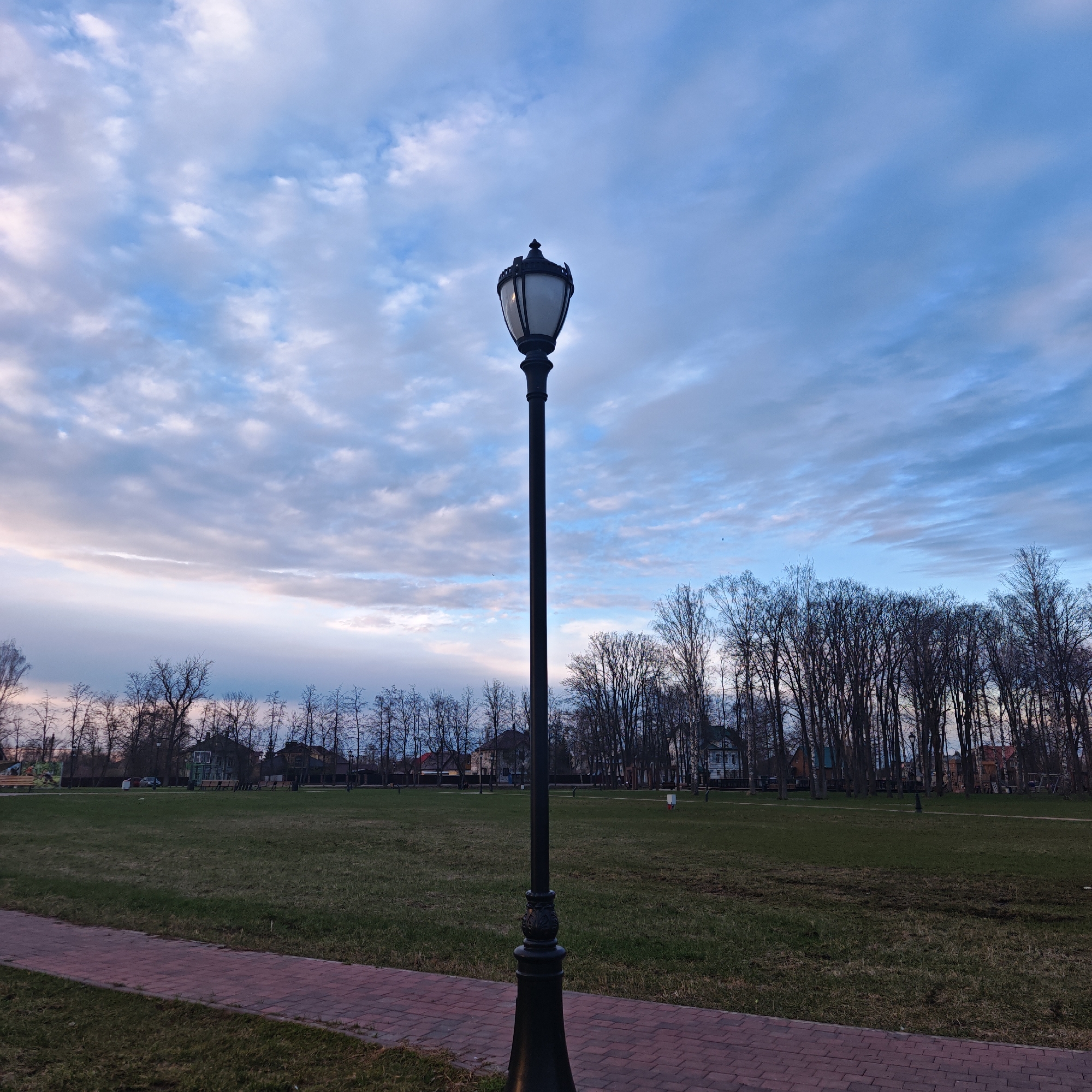 A black, ornate lamppost stands in the foreground of a park in Unknown, Unknown. The lamp has a white shade and a decorative top. Behind the lamppost is a grassy field with bare trees in the background. Houses are visible behind the trees. A red brick path runs along the bottom of the image. The sky is a mix of blue and gray clouds.