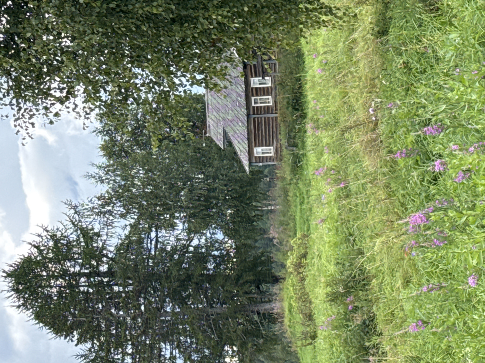 A traditional wooden log house with a green, weathered roof sits in a field of tall green grass and scattered purple wildflowers. The house has three visible white-framed windows on its front facade. Behind the house, a dense line of trees, including large evergreens and lighter-leaved deciduous trees, forms a natural backdrop. The sky above is partly cloudy with patches of blue. The scene suggests a rural or countryside setting.