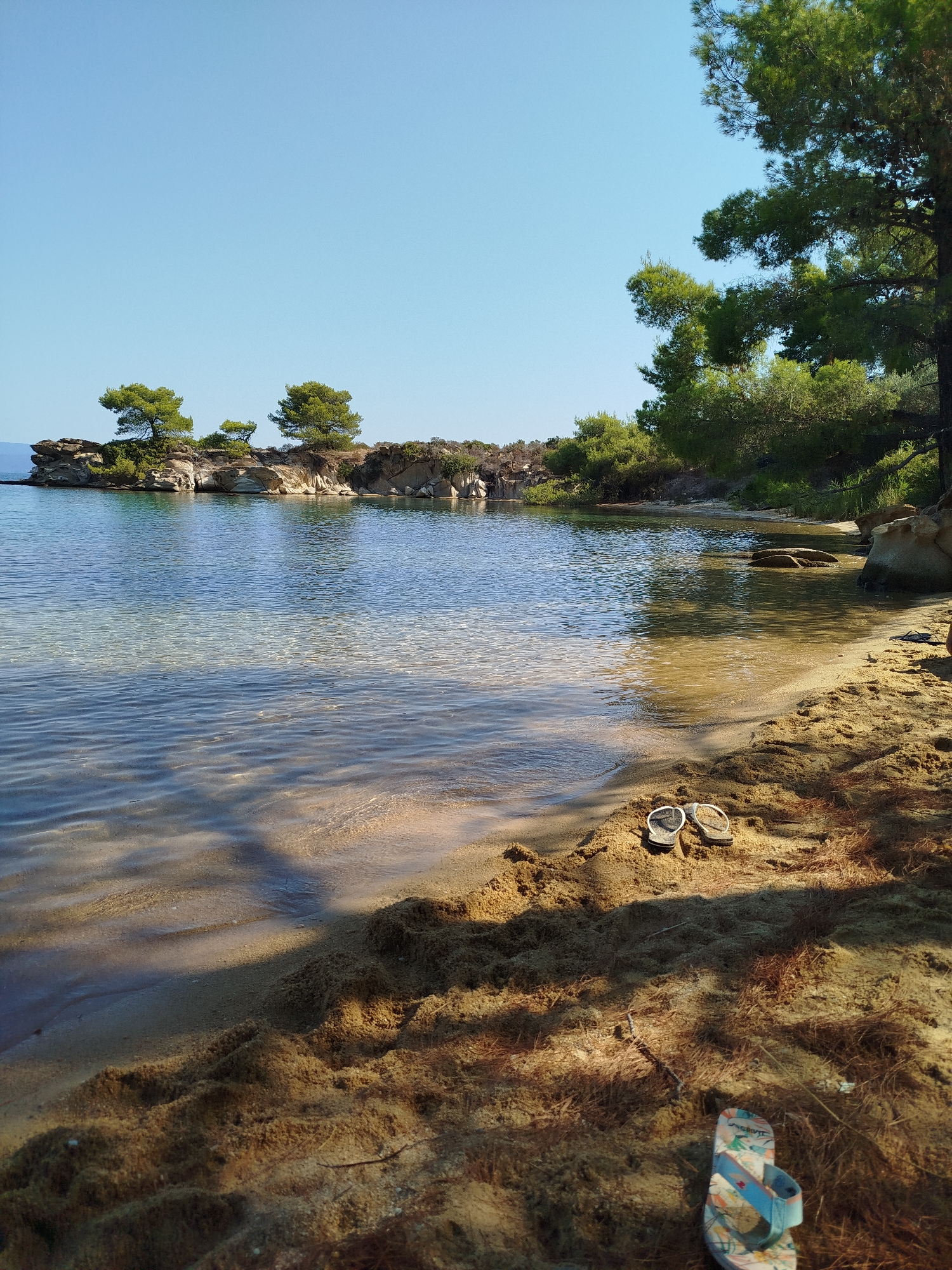 A serene beach scene unfolds under a clear blue sky. In the foreground, two pairs of flip-flops rest on the sandy shore, one pair of dark flip-flops placed on a small mound of sand, and a colorful pair further down on the sand. The gentle, crystal-clear water laps at the beach, revealing the sandy bottom beneath. In the middle ground, a rocky outcrop dotted with small green trees juts out into the calm sea, creating a picturesque islet. The background is filled with lush green trees and vegetation, with a dense pine tree on the right side of the frame partially obscuring the view. The sunlight casts dappled shadows on the sand, indicating a warm, sunny day.