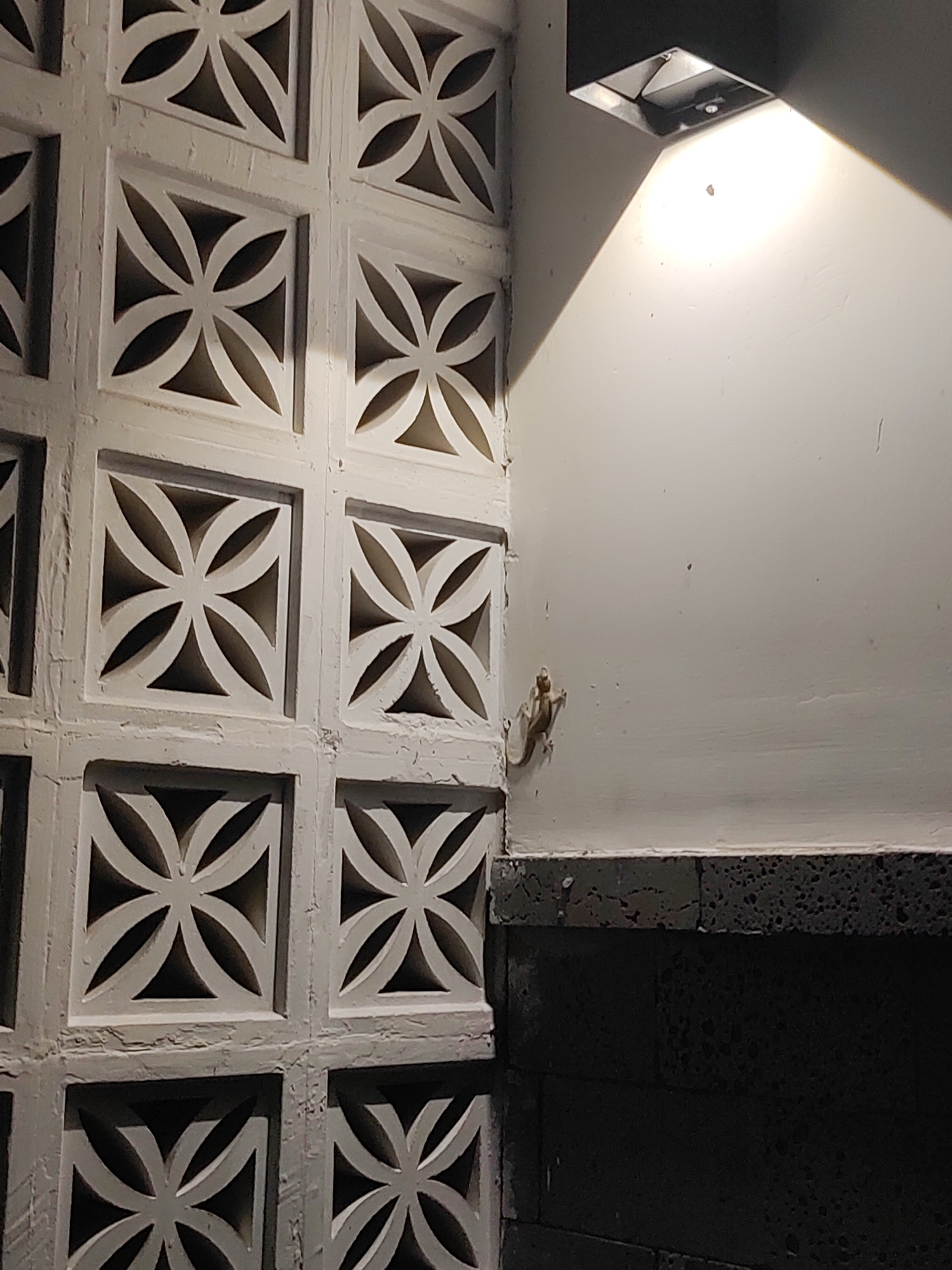 The image depicts an exterior corner of a building at night in Nha Trang Ward, Vietnam. The left side of the frame is dominated by a white, textured concrete wall with a decorative clover-like pattern of openings. To the right, a smooth white wall is illuminated by a modern, angled outdoor light fixture mounted near the ceiling. A small, light-brown lizard is clinging to the white wall, positioned near the corner where the patterned wall meets the smooth wall. Below the white walls, a dark, textured surface, possibly a countertop or ledge, is visible. The lighting suggests a dim, ambient environment.