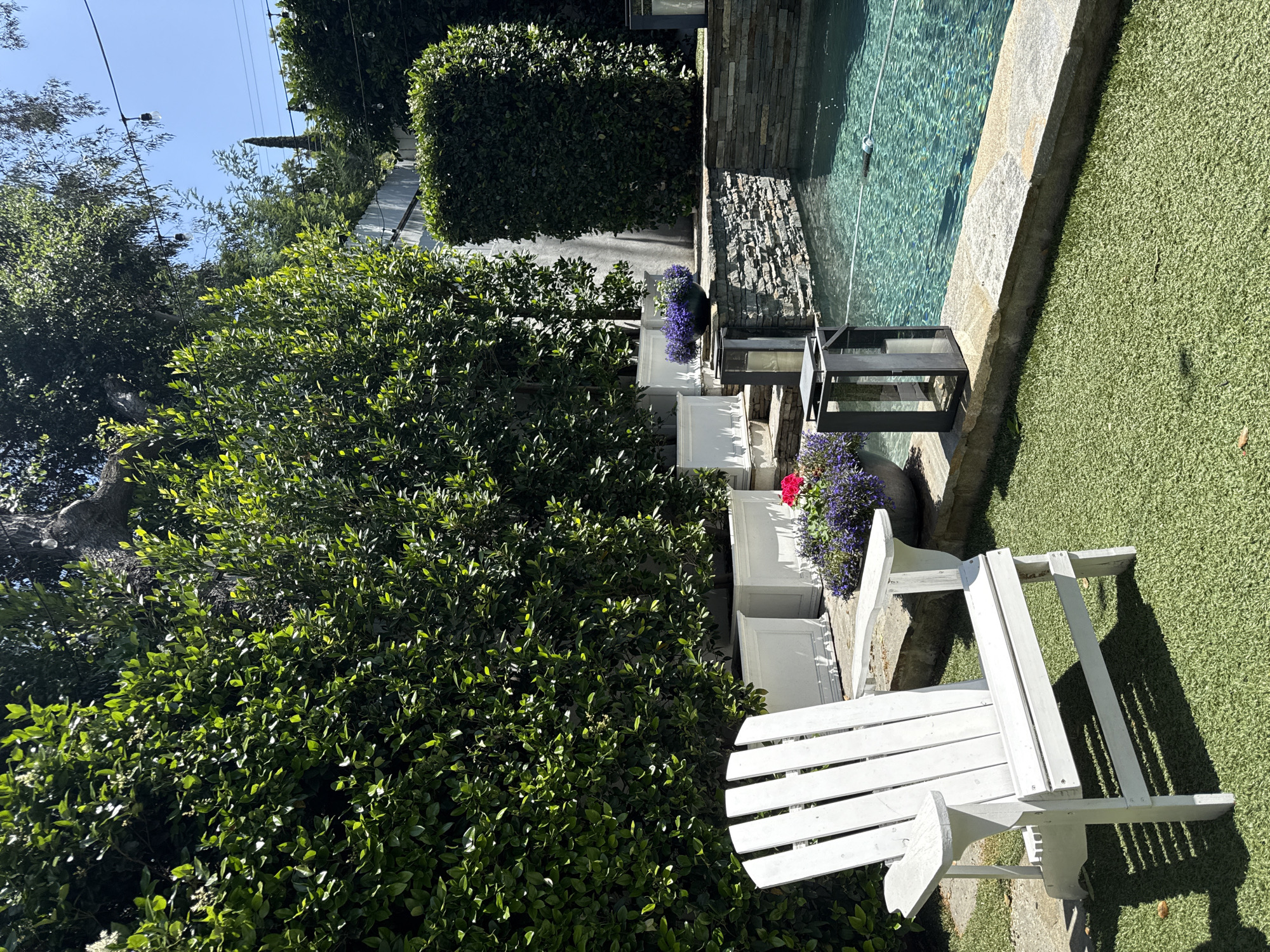 The image shows an outdoor setting, likely in a backyard. To the right, there's a portion of a swimming pool with turquoise water and a stone border. Adjacent to the pool is artificial turf. A white Adirondack chair is situated on a stone patio adjacent to the grass. Between the chair and pool, there are white planter boxes with purple and red flowers, along with a dark, rectangular metal lantern. The setting is surrounded by lush green vegetation, including a tall hedge and a large tree. Given the style of landscaping and architecture, and the presence of specific elements like artificial turf and well-maintained hedges, it's plausible this location is in a residential area within the city of Los Angeles, United States of America.