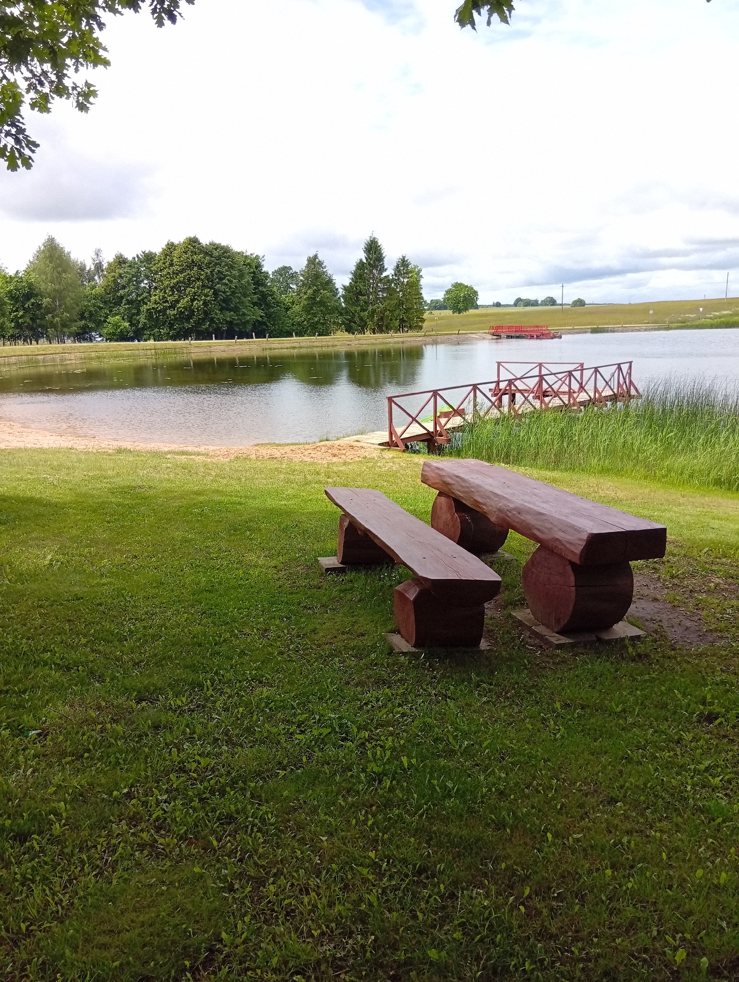 This is an outdoor, eye-level shot of a lakeside scene in Šaukėnai, Lithuania. In the foreground, on a grassy area, are two rustic wooden benches with rough-hewn tops and rounded log bases. The bench closer to the viewer is longer and more substantial. Beyond the grass is a sandy beach bordering a calm lake. A wooden pier with red railings extends into the water, and further in the distance, a red floating structure is visible on the lake. The far bank of the lake is lined with trees, and the sky is overcast with scattered clouds. The overall impression is one of a quiet, natural recreational area.