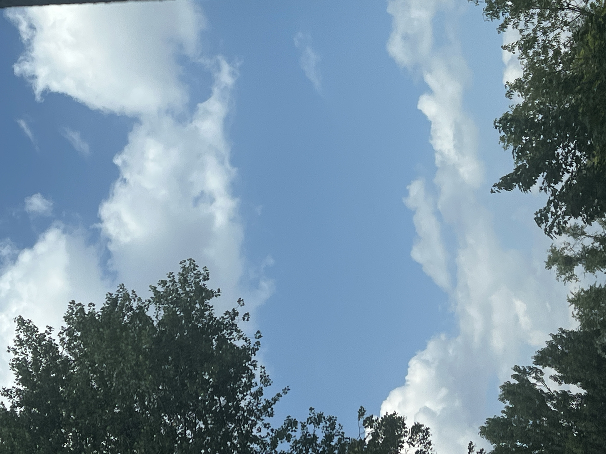 The image depicts a bright, sunny day with a clear blue sky dotted with fluffy white clouds. The lower portion of the frame is filled with the tops of lush green trees, suggesting an outdoor scene, likely a park or residential area. There are no people or distinct structures visible. The view is framed by the foliage of trees, indicating the photo was taken from below looking upwards. The scene is consistent with a summer day in Warsaw, Poland.