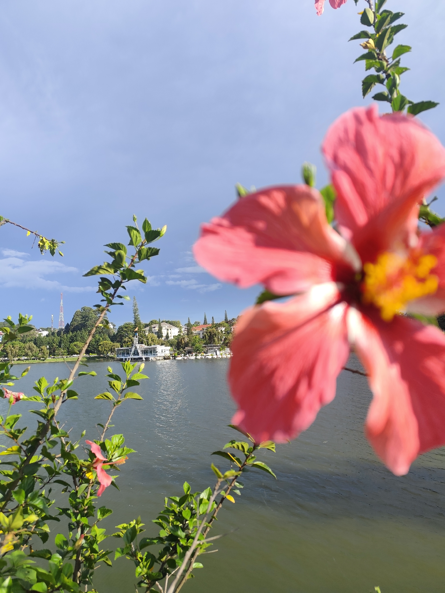 A vibrant, out-of-focus red hibiscus flower dominates the foreground of the image, its yellow stamen clearly visible. In the mid-ground, a calm body of water, likely Xuan Huong Lake, reflects the sky. Along the far bank, buildings and lush green trees form the backdrop of Da Lat city. A white structure with a distinctive platform stands on the water, and a tall red and white transmission tower is visible in the distance. The sky is a mix of blue and white clouds, suggesting a pleasant day. The image is taken from a low angle, emphasizing the natural beauty of the foreground flowers against the urban landscape.