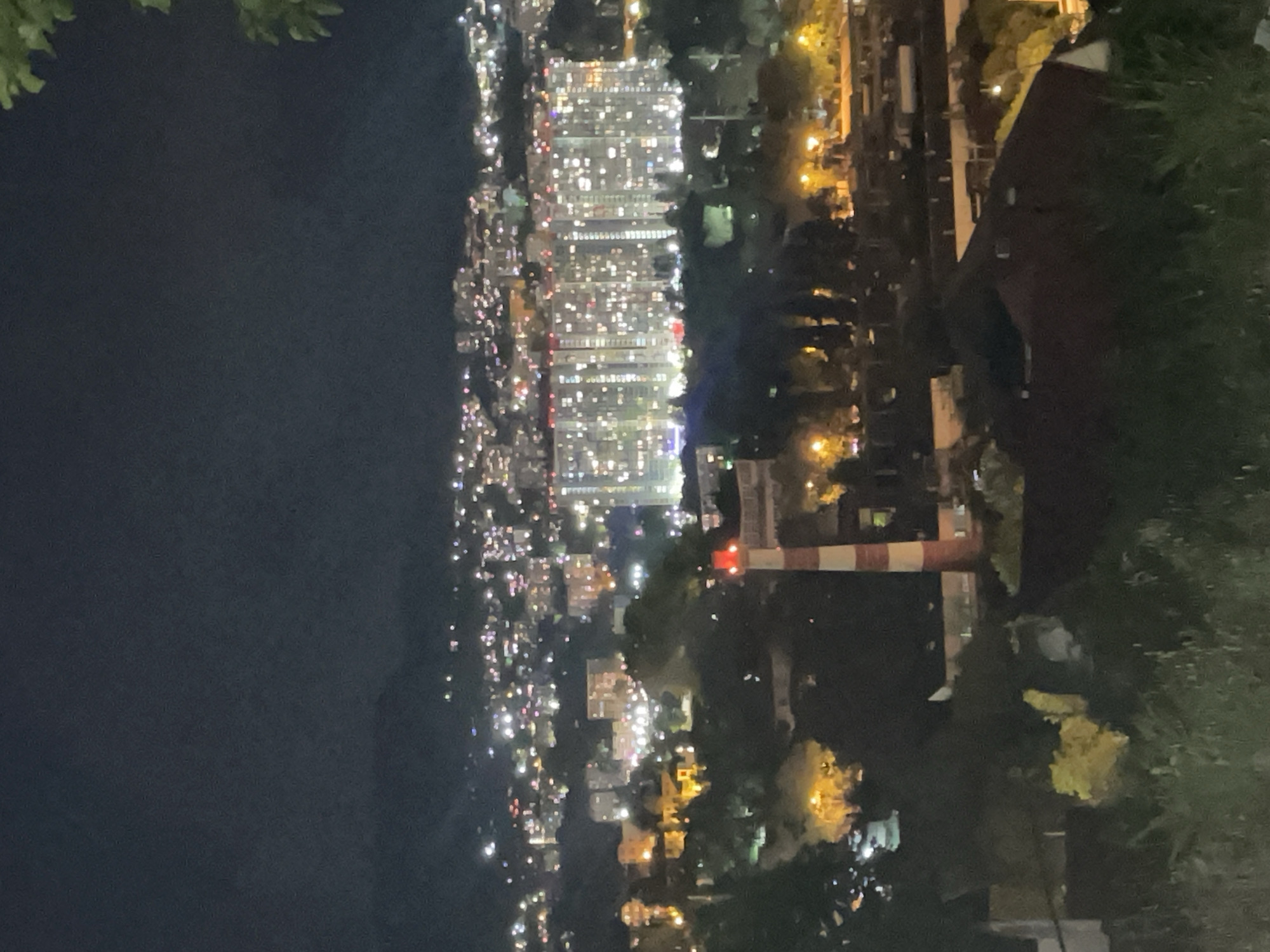 The image shows a night view of Sochi, Russia, likely from a high vantage point. The left side of the image is dominated by a dark body of water, probably the Black Sea. A dense cluster of high-rise buildings, illuminated with numerous lights, stretches along the coastline. Further inland, the city lights are more dispersed, interspersed with patches of darkness suggesting parks or residential areas. A tall, striped chimney or tower stands out amidst the greenery. The foreground contains out-of-focus vegetation, possibly trees and shrubs, framing the urban landscape.