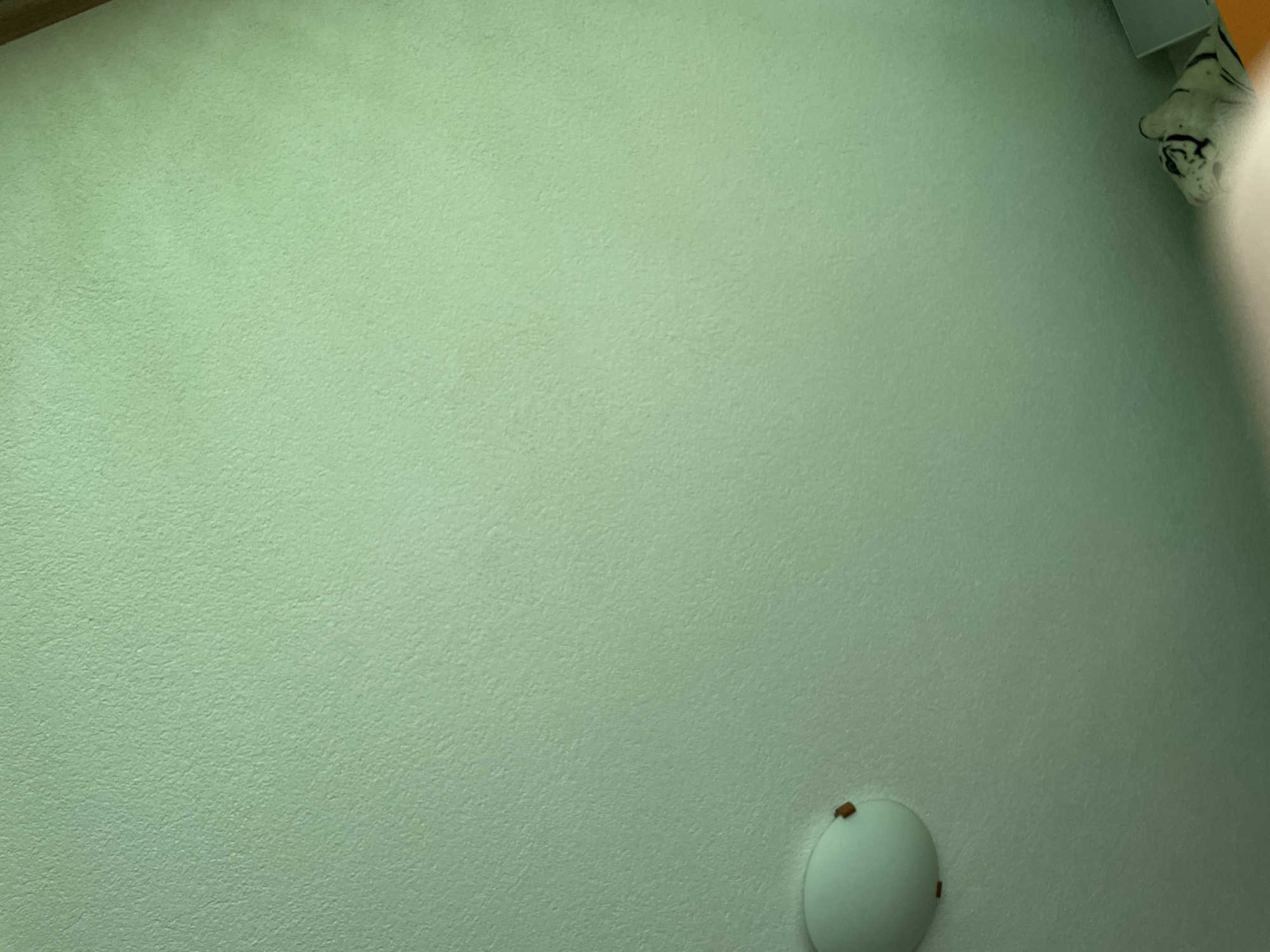 The image presents an indoor scene primarily focused on a light green, textured surface, which appears to be a wall or ceiling. The surface exhibits a distinct rough or stippled texture, characteristic of certain wall finishes or popcorn ceilings. The color is a muted, pale green, possibly a shade of mint or sage.
In the bottom right portion of the frame, a white, circular object, likely a light fixture or a smoke detector, is partially visible. It features small, rectangular, dark brown elements along its edge, possibly clips or decorative details.
Towards the top right corner, a white plush toy or decorative item, resembling the head of a white tiger with black stripes, is partially obscured. It seems to be positioned in a corner, potentially between a wall and a ceiling or two walls.
Darker lines are discernible along the top left and top right edges, indicating structural corners or junctions with other architectural elements, such as a wooden beam or an adjoining wall.
No specific activity is taking place; the image captures a static interior view. The lighting is even and soft, suggesting an indoor environment without harsh shadows. The overall impression is that of a calm domestic or residential space. There is no visible text in the image. The location context is Zlatograd, Bulgaria.