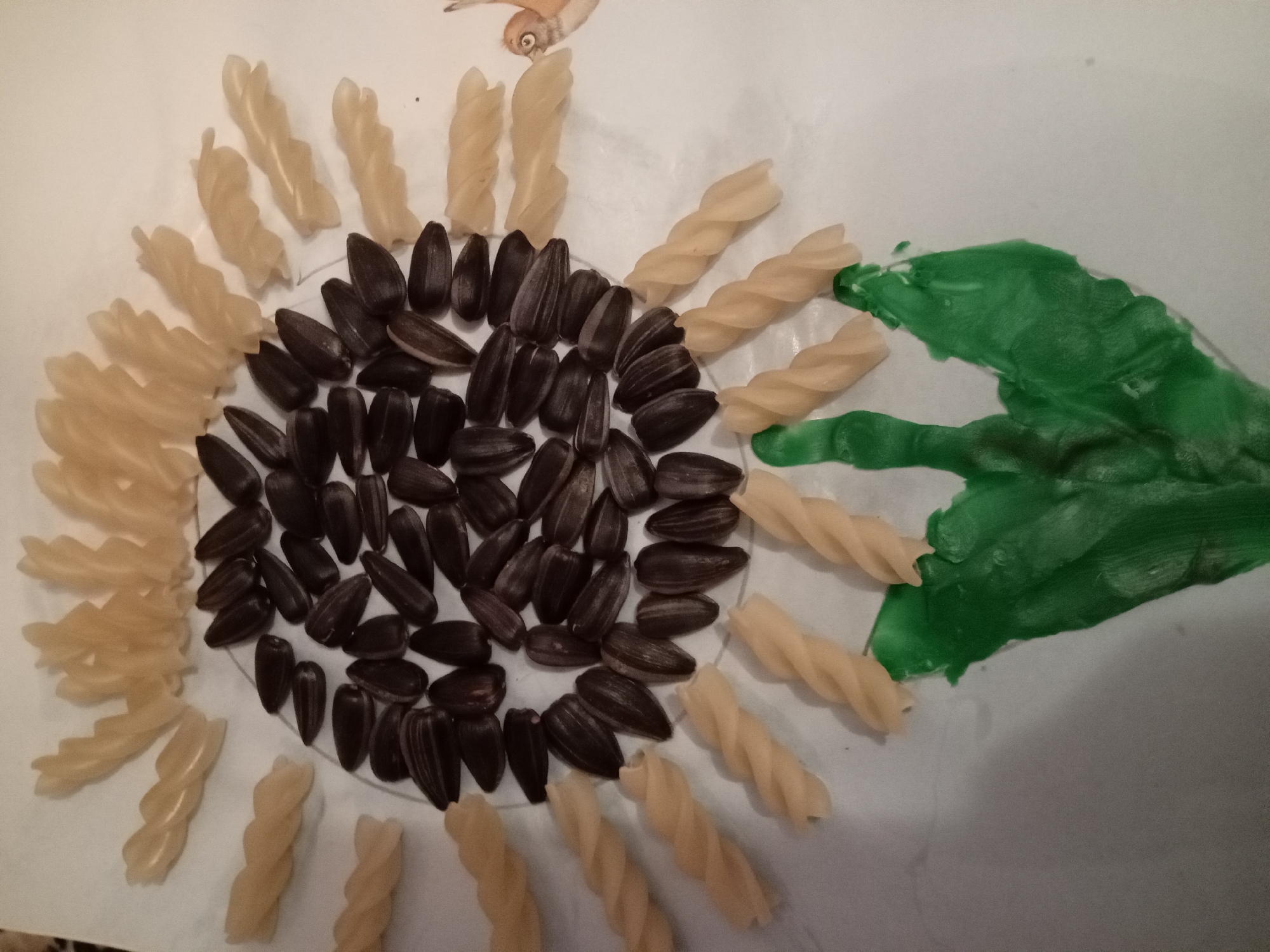A close-up overhead shot depicts a sunflower craft made from pasta and sunflower seeds on a white surface. The center of the sunflower is filled with dark brown sunflower seeds, arranged in a circular pattern. Radiating outwards from the center are two distinct types of pasta: lighter colored fusilli pasta forms the outer petals of the sunflower, while some pieces of what appear to be farfalle (bow-tie) pasta, also light colored, are positioned near the bottom. To the right of the sunflower, green paint is spread across the white surface, resembling leaves. The background is a plain white surface, possibly paper. There is no indication of the location in Odesa, Ukraine.