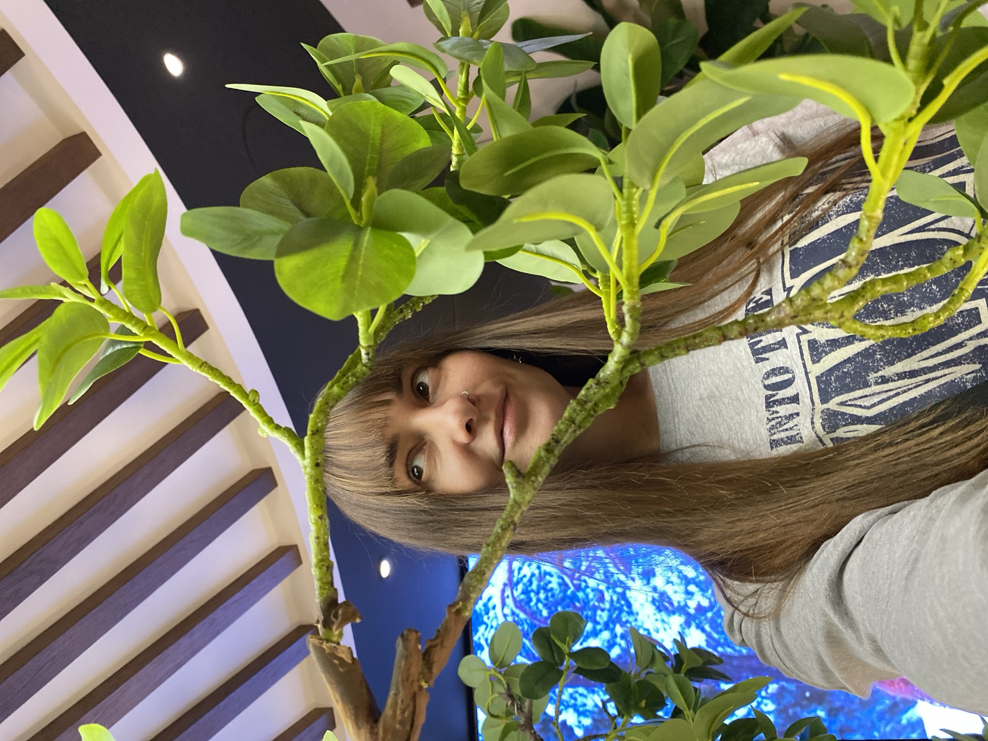 A woman with long, light brown hair is peering through the foliage of an artificial plant. She is wearing a gray T-shirt with a dark blue graphic on it. Her face is partially obscured by the plant's leaves and branches, but her eyes, nose ring, and bangs are visible. The plant is green and leafy. Behind the woman and the plant, there is a wall with alternating dark and light stripes, a dark ceiling with a spotlight, and a blue background that appears to be a screen displaying an image of water.
This image does not contain information that can be used to verify a location in the city of Votkinsk, Russia.