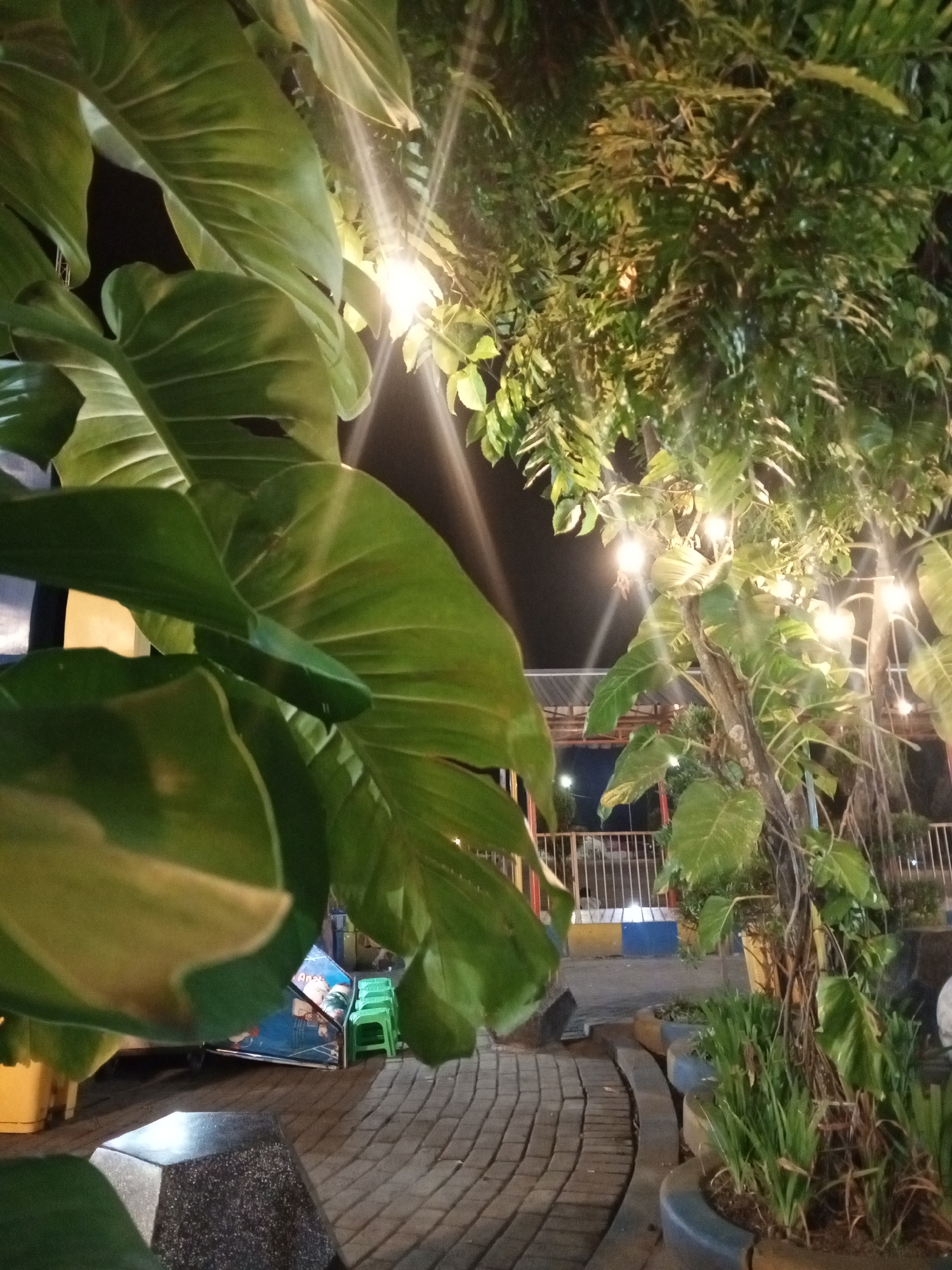 This is a low-angle, night-time photograph taken outdoors, likely in the city of Kloncing, Indonesia. The foreground is dominated by large, green leaves from a tropical plant, casting shadows and partially obscuring the background. Behind the leaves, a paved walkway made of interlocking bricks curves into the distance.
Illuminated by several strings of warm-toned lights, the scene reveals a seating area with at least three bright green plastic chairs. A small food cart or stall with a blue sign featuring an image of a person is also visible. Further back, a metal fence with horizontal bars separates the area from what appears to be a street or public space, marked by colorful rectangular bollards in yellow and blue.
The background features more foliage, including trees with smaller leaves, and several large, light-emitting bulbs creating a festive ambiance. The overall atmosphere is that of an outdoor dining or relaxation area, possibly a marketplace or a park, adorned with decorative lighting for evening use. The presence of tropical plants and the style of the seating and stall suggest a location in a warm climate, consistent with Indonesia.