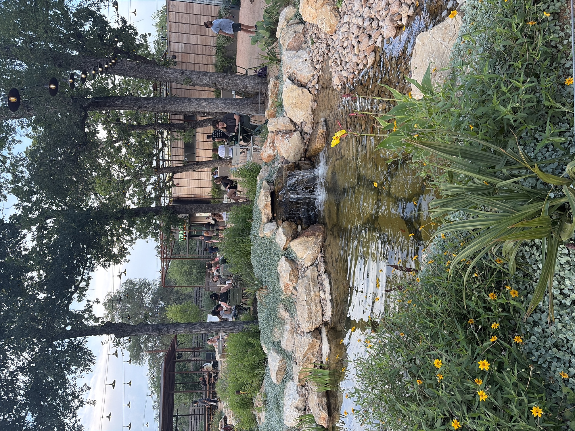 The image shows an outdoor seating area in Sunset Valley, United States, next to an artificial stream with rocks and vegetation on its banks. A series of metal structures support strung lights and serve as seating areas with tables and chairs occupied by people. Beyond the seating areas, there is a wooden fence or building. The stream has small waterfalls. The vegetation includes various plants, with some featuring small yellow flowers. A man is walking in the background.