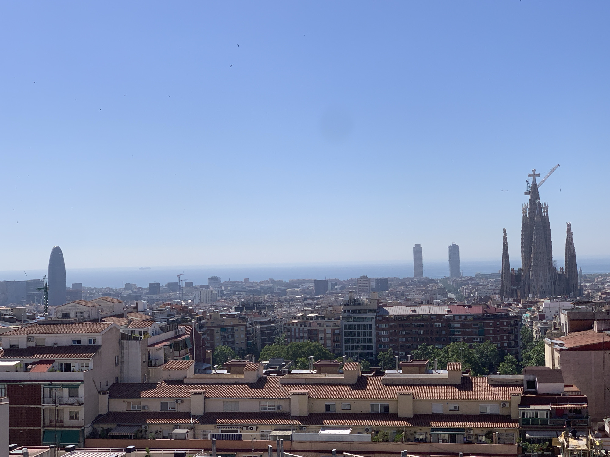 An aerial, daylight, eye-level, wide-angle photograph captures a panoramic view of Barcelona, Spain, under a clear blue sky. In the foreground, terracotta tiled roofs of residential buildings dominate the scene, with some featuring balconies and air conditioning units.
Further into the cityscape, a variety of buildings with different architectural styles are visible, including apartment blocks and office buildings. Two tall, modern skyscrapers stand out, one on the left with a curved, leaning design, and two others in the mid-ground with a more rectangular shape.
The iconic Sagrada Familia basilica, with its distinctive spires and ongoing construction cranes, is prominently featured on the right side of the frame, serving as a recognizable landmark. In the distance, the Mediterranean Sea stretches to the horizon, with a few ships visible. Several small birds are scattered across the sky, adding a touch of movement to the otherwise still scene.