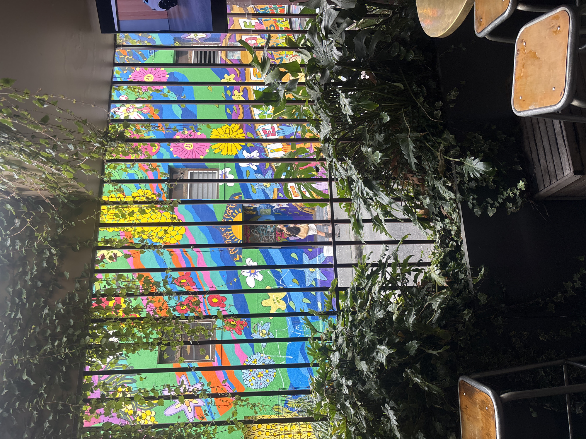 This is a forensic, matter-of-fact description of an outdoor seating area in Fitzroy, Australia, looking towards a colorful mural on a building.
The scene depicts a view through a black metal grate, partially obscured by lush green hanging ivy and large-leafed plants in the foreground. Two wooden-topped stools with metal legs are visible to the left and right. A portion of a round gold table is visible on the far right.
Beyond the grate, a building wall is adorned with a vibrant, abstract mural featuring flowing lines and shapes in various bright colors including green, blue, pink, yellow, and orange. Two windows with horizontal blinds are visible within the mural.
In the middle ground, a person is walking away from the viewer towards the right, visible through a gap in the grate and plants. They are wearing a light-colored skirt or dress and a dark top, carrying a shoulder bag. The ground visible is a paved street.
The overall environment suggests an outdoor cafe or bar seating area, possibly in an alleyway, with a strong artistic element due to the prominent mural. The presence of foliage indicates a well-maintained space. The lighting suggests it is daytime.