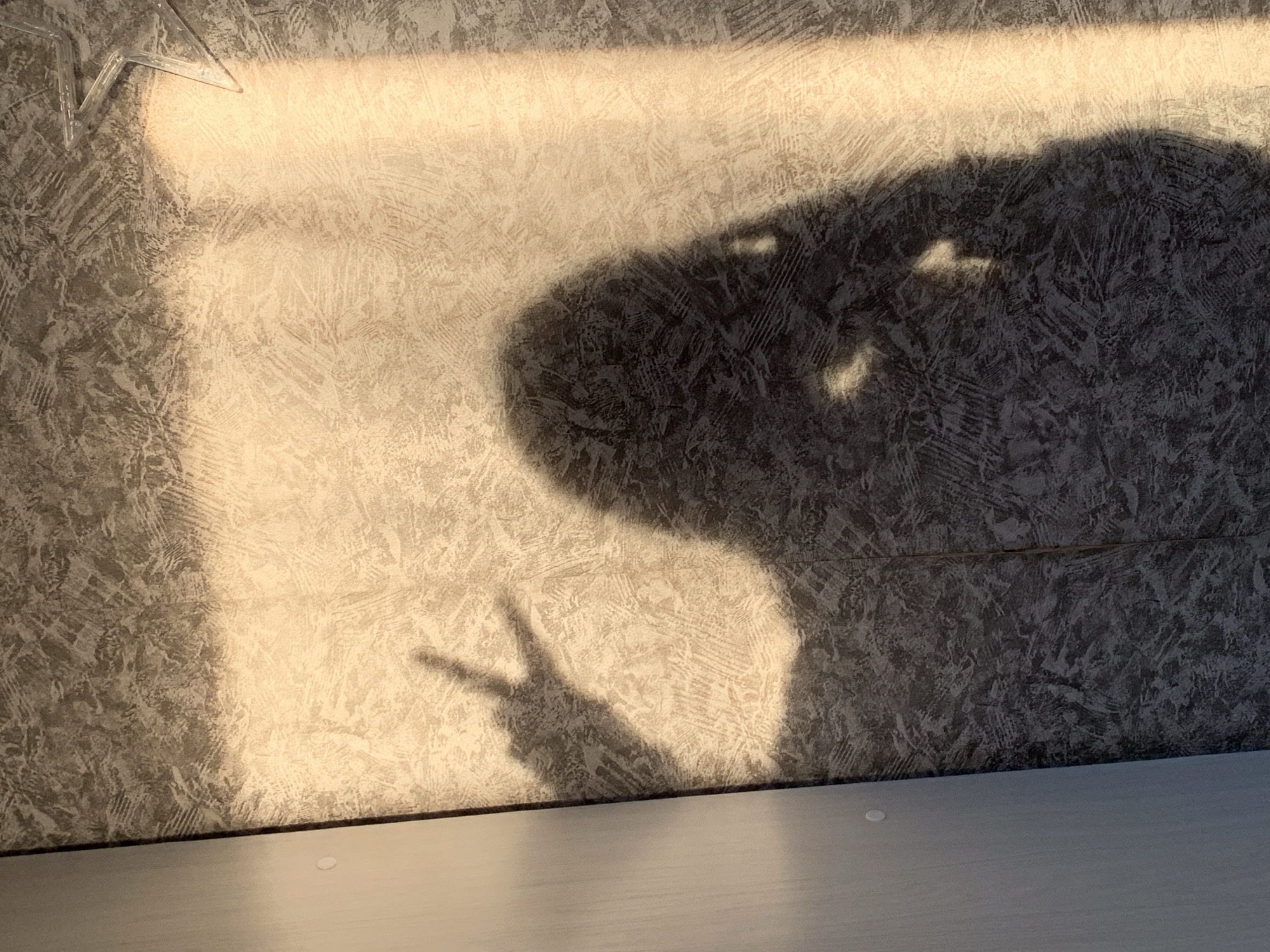 An indoor photograph, taken in Фоки, Russia, captures a striking interplay of light and shadow on a textured wall. A large, dark shadow of a person dominates the right and central portions of the image, showing the distinct outline of a head and shoulders. From this shadow, a hand is extended, casting a clear peace sign (V-sign) onto the wall in the lower-left area, strongly suggesting the person is taking a selfie.
Intense, warm sunlight streams from the top-left, illuminating the upper and left sections of the wall with a bright, yellowish glow. The wall itself is covered in light-toned wallpaper featuring an abstract, scrawled, or brushstroke-like pattern that is visible both in the light and shadow. In the top-left corner, a transparent or translucent decorative object with an angular, possibly star-like shape is visible, casting its own faint shadow. The bottom of the image features a flat, light-grey surface, likely a desk or window sill.
The crisp, long shadows indicate a low sun angle, suggesting either morning or late afternoon on a sunny day. The peace sign conveys a casual and positive mood. There is no visible text in the image.