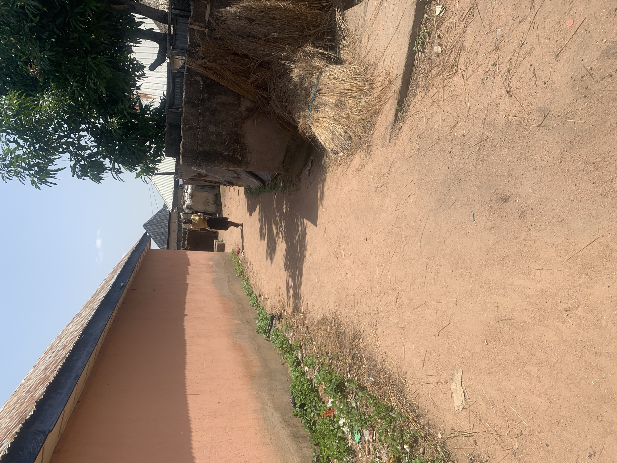 An outdoor, eye-level shot shows a dirt path in a residential area. A woman is walking away from the camera down the path. She is wearing a yellow top and a dark skirt. To the left, a peach-colored building with a corrugated metal roof runs parallel to the path. Green vegetation and debris are visible along the base of the building. To the right of the path, a weathered stone wall encloses an area where several large bundles of straw are stacked. A large tree with lush green leaves stands behind the wall. In the background, several roofs of buildings, some made of corrugated metal, are visible. The sky is clear and blue. The scene appears to be a rural or semi-urban setting in Jalingo, Nigeria.