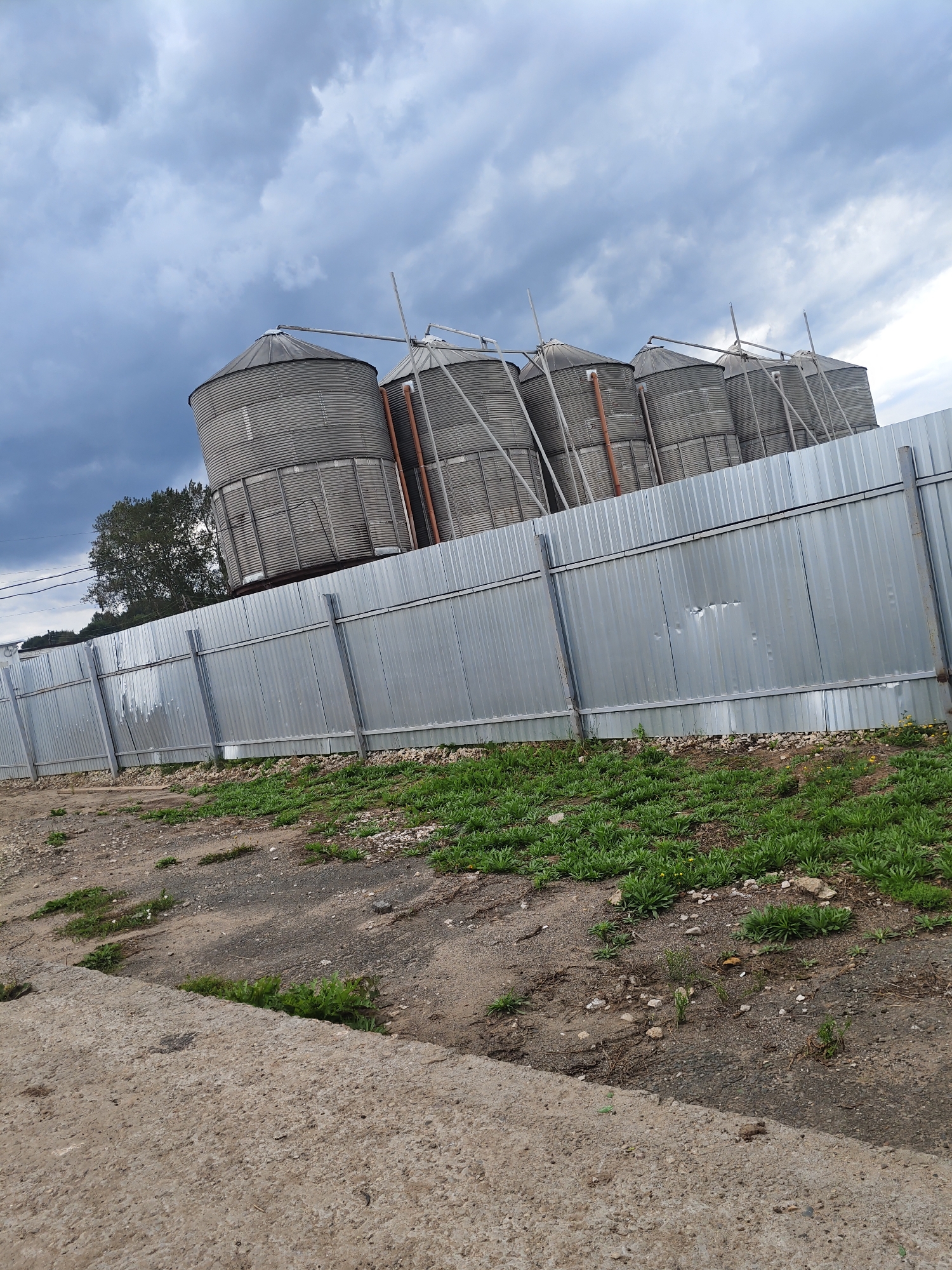 The image shows a line of five tall, corrugated metal grain silos leaning at an angle against a cloudy sky. A grey corrugated metal fence runs horizontally across the middle of the image, separating the silos from a foreground area of rough ground and sparse green grass. The silos are silver and cylindrical with conical tops. They are supported by visible external structures. The sky is overcast with dark, dramatic clouds. A single tree with green foliage is visible behind the fence and to the left of the silos. The ground in the foreground consists of dirt, gravel, and a concrete slab or walkway in the lower left corner. The overall scene appears to be an agricultural or industrial site located in the vicinity of Platoschino, Russia.