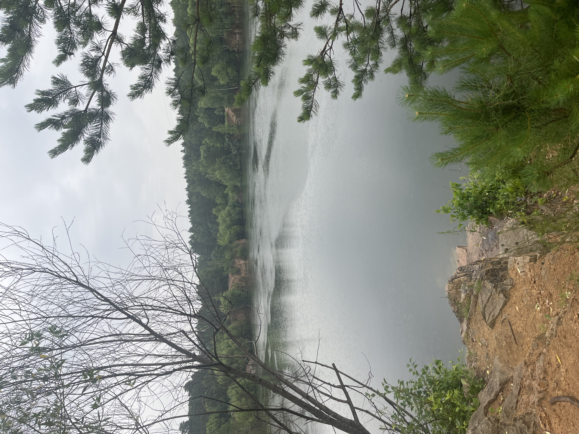 The image depicts a natural landscape scene on an overcast day, likely near a body of water. In the foreground, there is a rocky, sandy embankment with sparse vegetation. To the left, a bare tree with intricate branches dominates the frame, while to the right, pine branches with green needles frame the view. The middle ground is occupied by a calm lake, with visible ripples on its surface suggesting light rain. The far bank of the lake is lined with a dense forest of green trees, and a small sandy cliff face is visible. Power lines can be seen in the distance, partially obscured by trees. The overall impression is one of a quiet, natural setting under a grey sky.