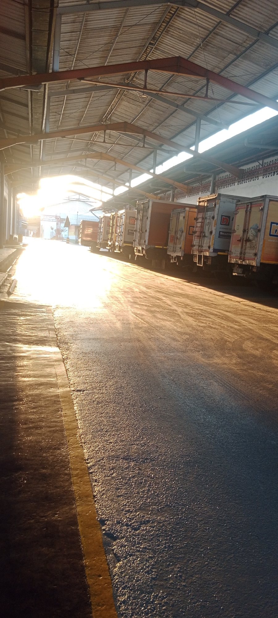 The image depicts a row of parked trucks under a covered structure, likely a warehouse or loading dock, bathed in the bright, low-angle sunlight of either sunrise or sunset. The light casts long shadows across the asphalt ground, highlighting its textured surface and a distinct yellow line marking the edge of the paved area. The trucks are a mix of white and orange, with various logos and markings visible on their sides, suggesting they are commercial delivery vehicles. The structure's roof is corrugated metal, supported by industrial-style beams and trusses. In the background, beyond the trucks, a larger building with some signage is partially visible, along with a bright sky. The scene appears to be an outdoor, industrial area, potentially part of a logistics or distribution center in Ngargosari, Indonesia, given the context. No people are visible in the image.