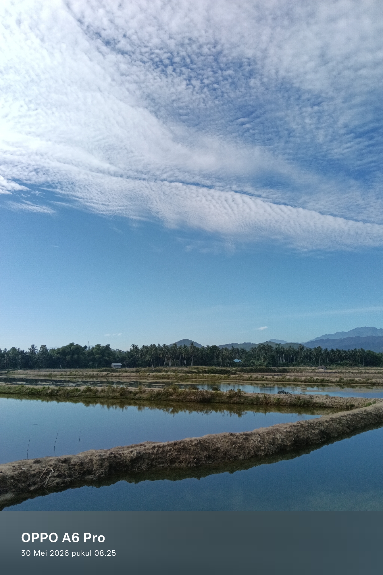 The image shows a landscape in Blangtumulek, Indonesia, under a clear blue sky with scattered cirrocumulus clouds. The foreground features rectangular pools of water separated by earthen dikes, reflecting the sky. In the mid-ground, there is a line of dense vegetation, including palm trees, with a glimpse of a small structure. Further back, a mountain range is visible on the horizon. The bottom of the image contains the text "OPPO A6 Pro 30 Mei 2026 pukul 08.25".