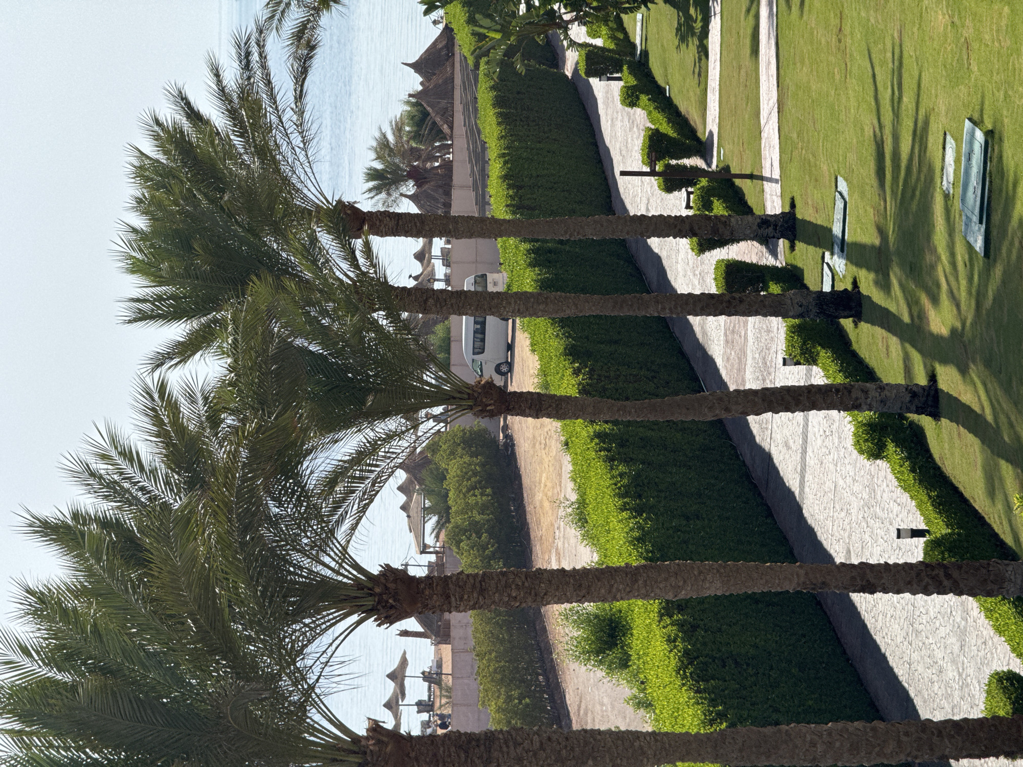 A high-angle, eye-level outdoor daytime shot shows a pathway lined with palm trees and manicured green hedges. The pathway is paved with light gray interlocking stones and is bordered by lush, neatly trimmed green bushes. Beyond the pathway, the scene opens to reveal a body of water, likely the sea, under a clear blue sky. In the middle ground, a row of thatched umbrellas and structures are visible on a sandy area, suggesting a beach resort. A white van is parked on a dirt area to the left, behind a section of the hedge. The foreground consists of a well-maintained lawn with several rectangular green access covers. The shadows of the palm trees stretch across the lawn and pathway, indicating the sun is positioned to the left of the frame. The scene is tranquil and evokes a sense of a tropical vacation destination.