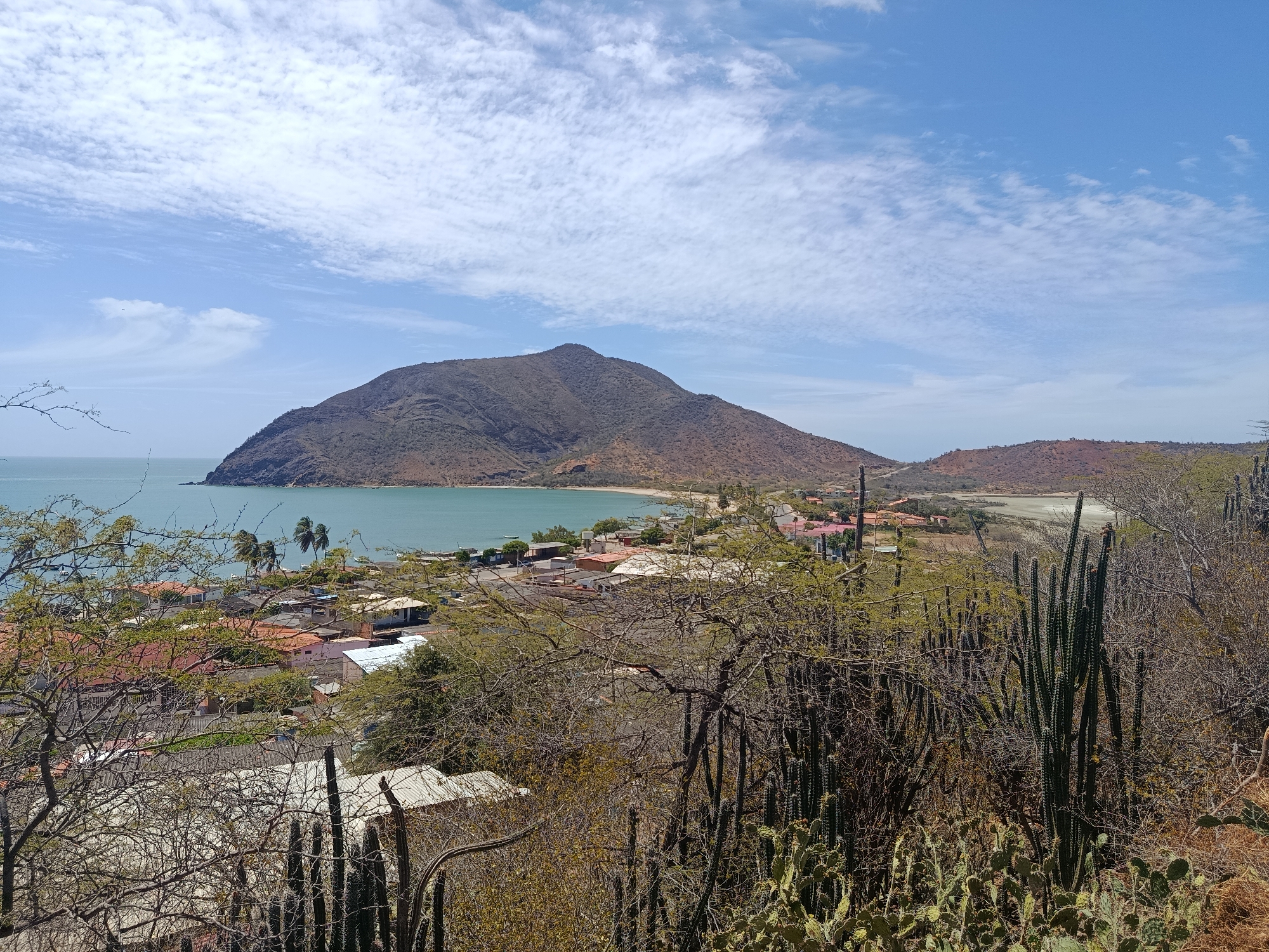 The image shows a panoramic view of Juan Griego, Venezuela, captured from an elevated position overlooking the town and its bay. A large, arid mountain dominates the left side of the frame, sloping down to meet the turquoise-colored sea. The town is nestled along the coastline at the base of the mountain, with closely packed buildings featuring red-tiled roofs visible. The right side of the frame shows a drier, less populated area with sparse vegetation. In the foreground, there are cacti and scrubby trees, suggesting a dry climate. The sky is partly cloudy with blue patches. There are no people visible in the image.