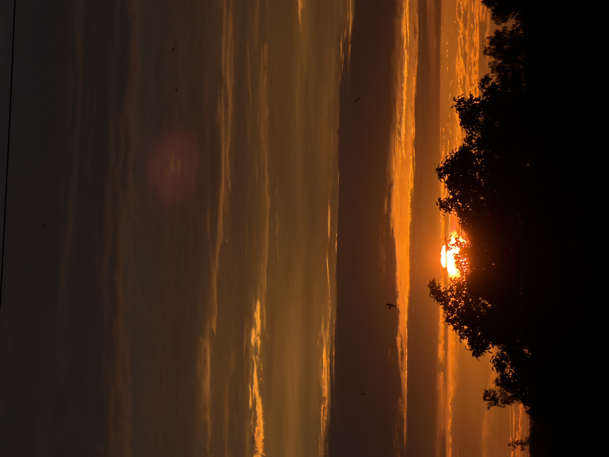 This is a photograph of a sunset over a natural landscape. The sun is low in the sky, casting a warm, orange glow across the clouds. The clouds are streaked with light, creating a dramatic effect. In the foreground, a silhouette of trees frames the sunset. Several birds are visible in flight against the sky. The overall mood of the image is peaceful and serene. The photograph was taken in Gorzow, Poland. The time of day is sunset, and the weather appears to be clear.