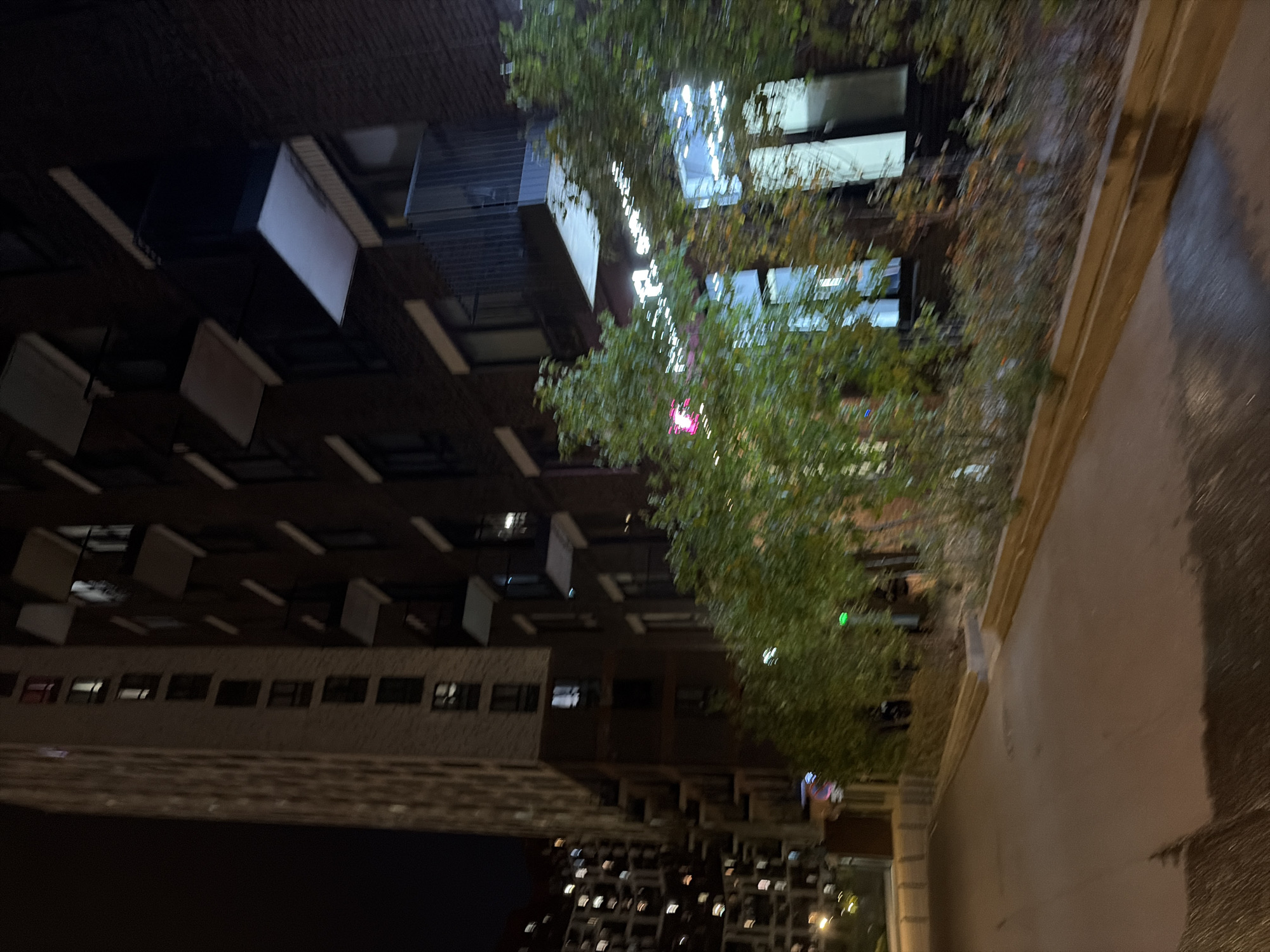 The image depicts a dimly lit, blurry night scene in Moscow, Russia, likely on a paved walkway or road. In the foreground, the ground appears wet and reflective, suggesting recent rain or a slick surface. To the left, a tall, light-colored building with numerous windows is visible, with some windows illuminated. To the right, a darker, brick-faced building rises higher, featuring balconies and more lit windows. Lush green foliage, possibly trees and shrubs, partially obscures the lower levels of the brick building. String lights, some white and one pinkish, are draped across some of the greenery and building elements. The overall impression is one of an urban environment at night, possibly a residential complex or a commercial area.