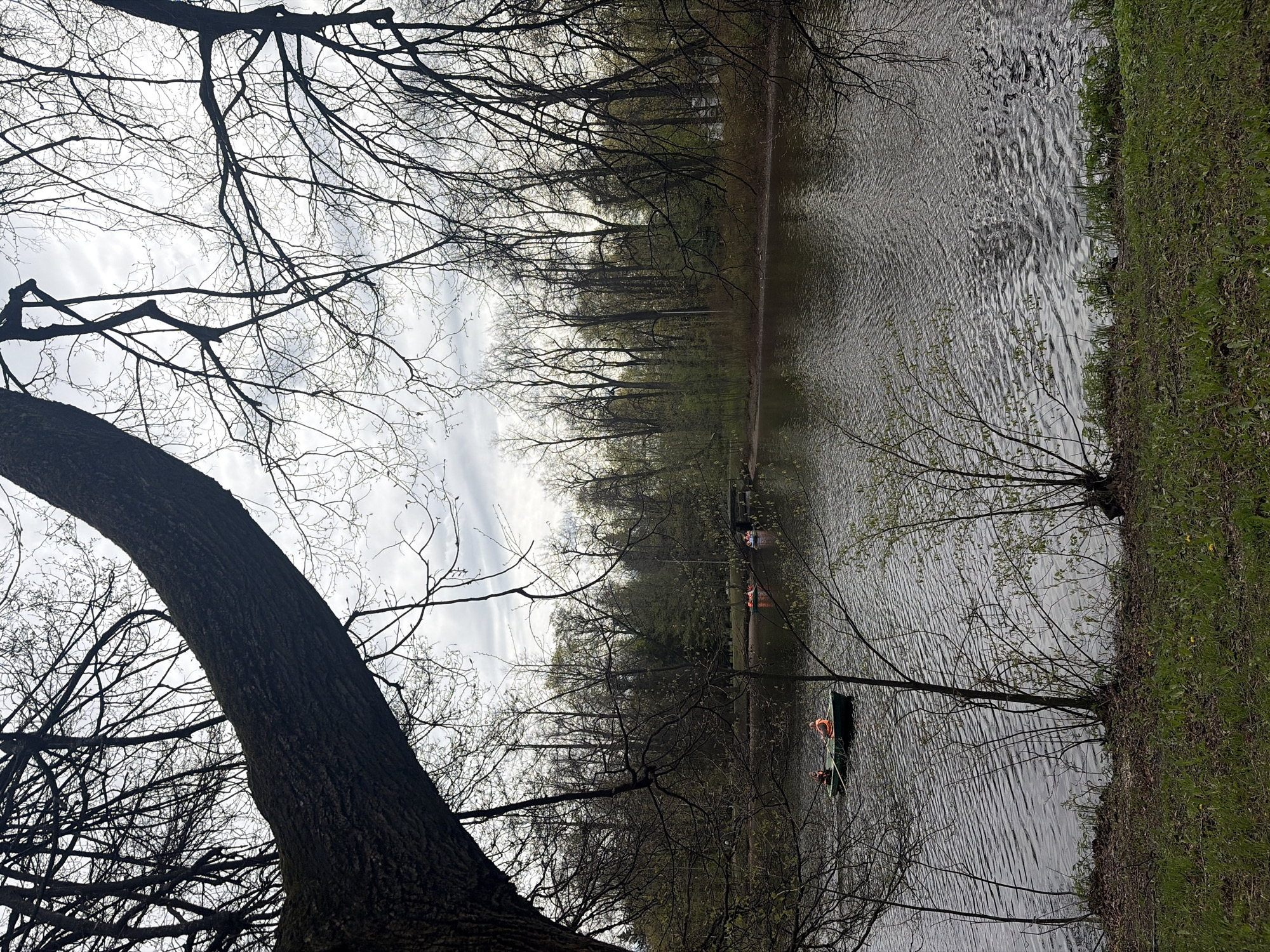 The image depicts a body of water in a park setting, possibly a lake or wide river. The viewpoint is from the shoreline, with trees and vegetation framing the scene. A large tree trunk with bare branches is prominent in the foreground on the left. Across the water, a line of trees forms the opposite bank. Several small boats, possibly canoes or rowboats, are visible on the water, with people wearing life vests. The sky is overcast. The photo was taken in Saint Petersburg, Russia.