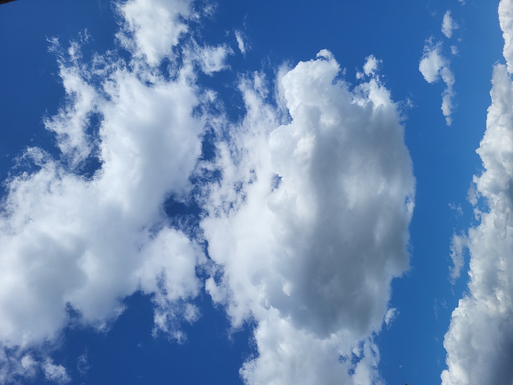 The image shows a view of the sky with white clouds against a blue background. The clouds are scattered across the frame, with a mix of smaller, puffier clouds and larger, more substantial formations. The blue sky is visible in between the clouds. The scene appears to be outdoors during the day. The location is unknown.